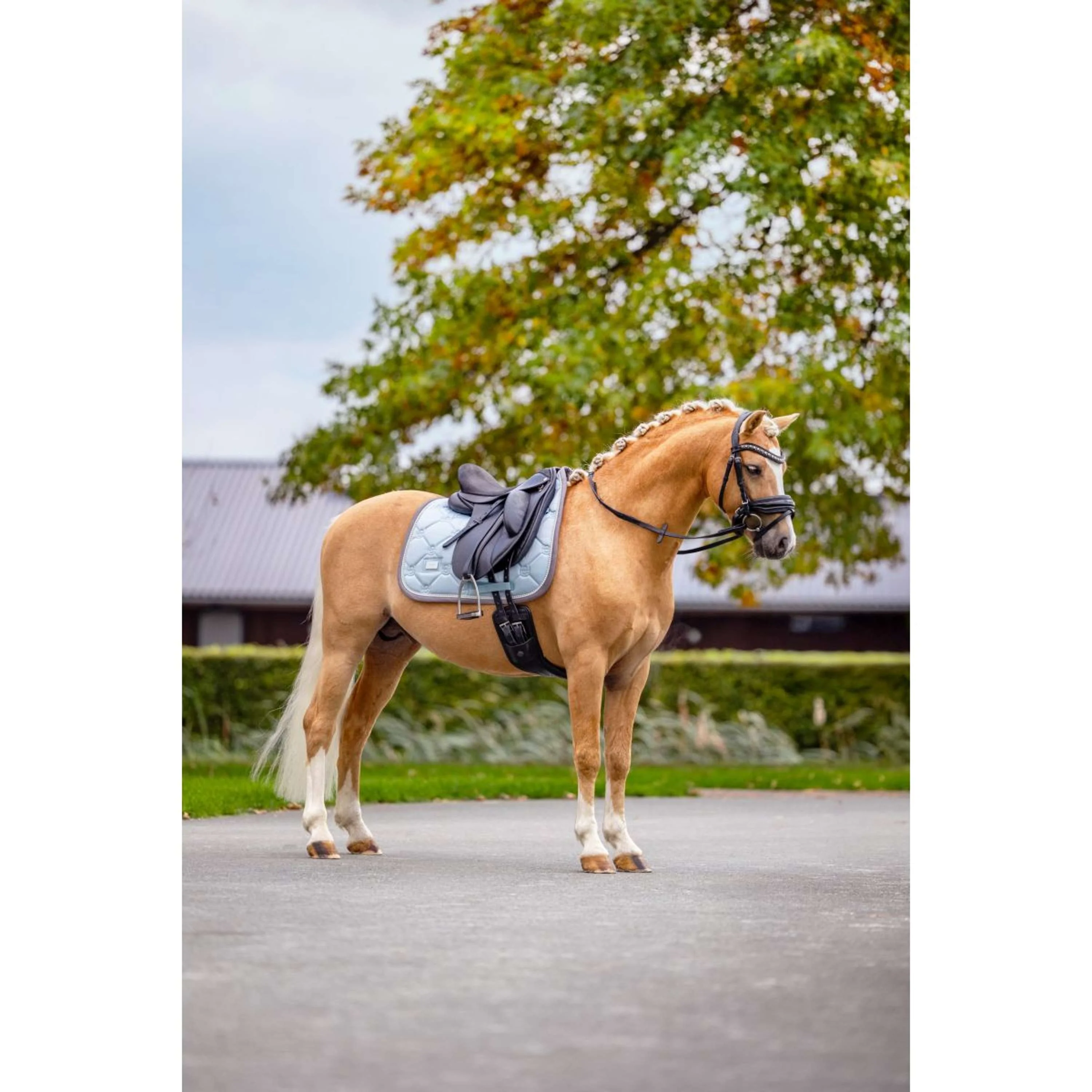 Equestrian Stockholm Tapis de Selle Dressage Ice Blue - Image 7