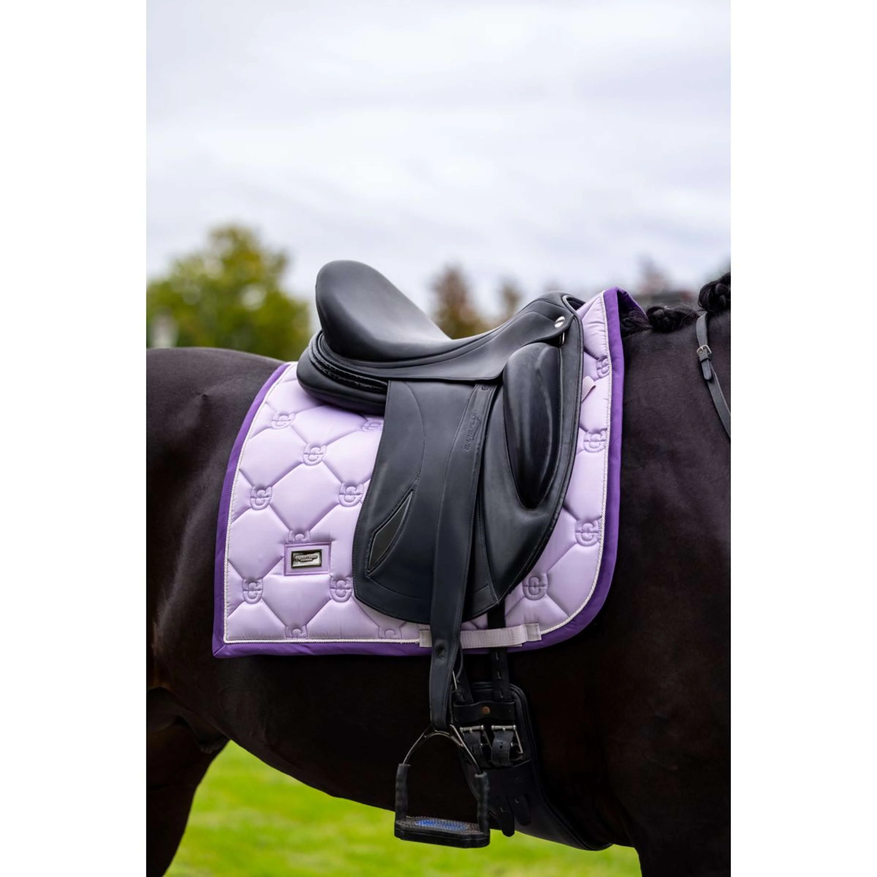 Equestrian Stockholm Tapis de Selle Dressage Lavande - Image 2