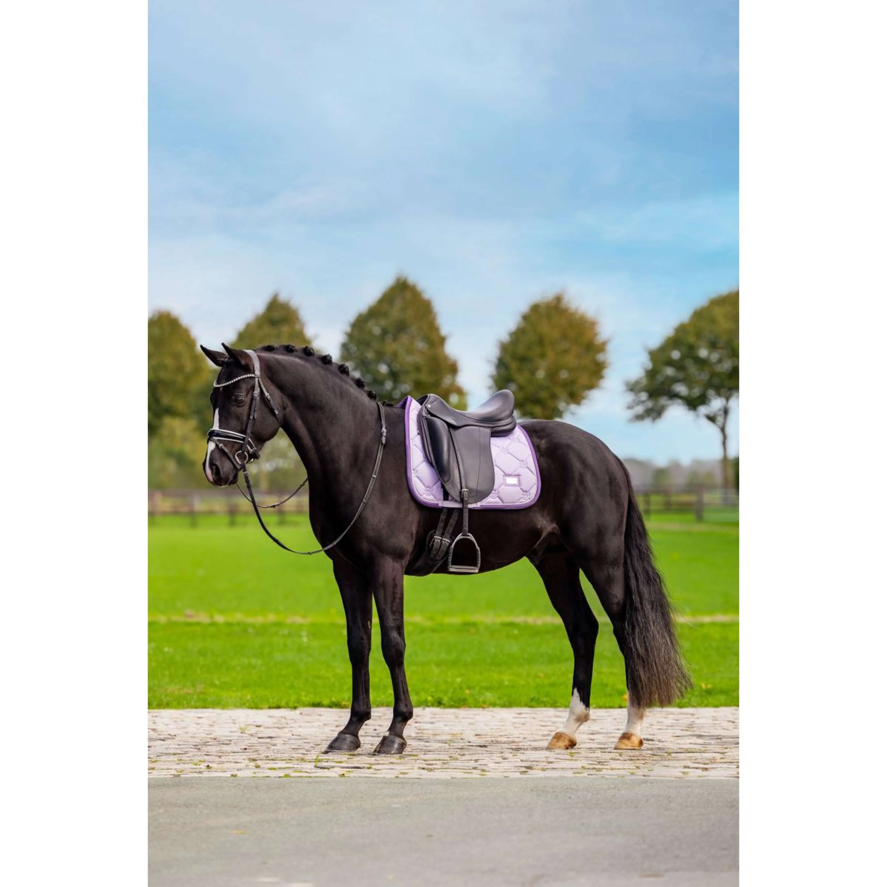 Equestrian Stockholm Tapis de Selle Dressage Lavande - Image 7