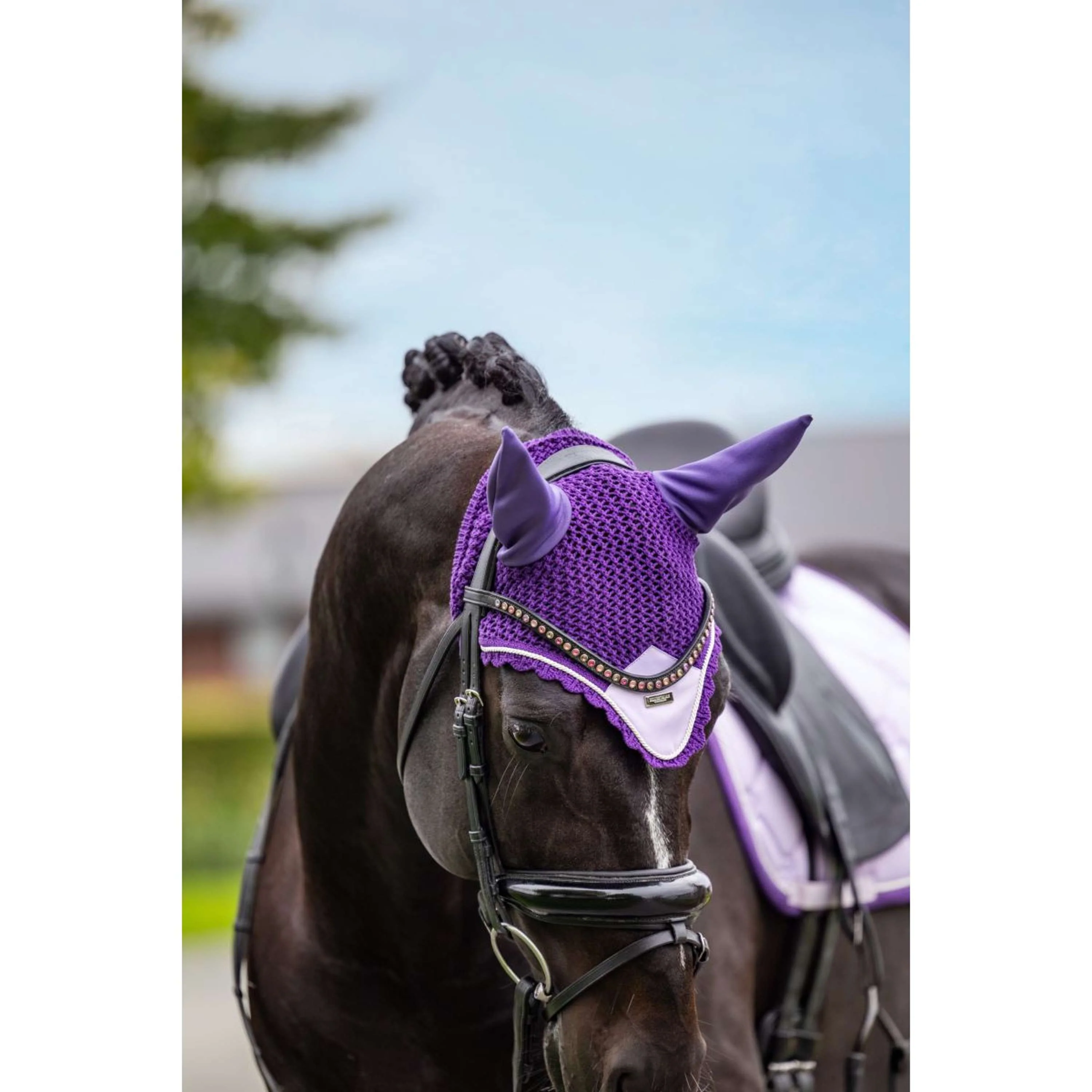 Equestrian Stockholm Tapis de Selle Dressage Lavande - Image 8