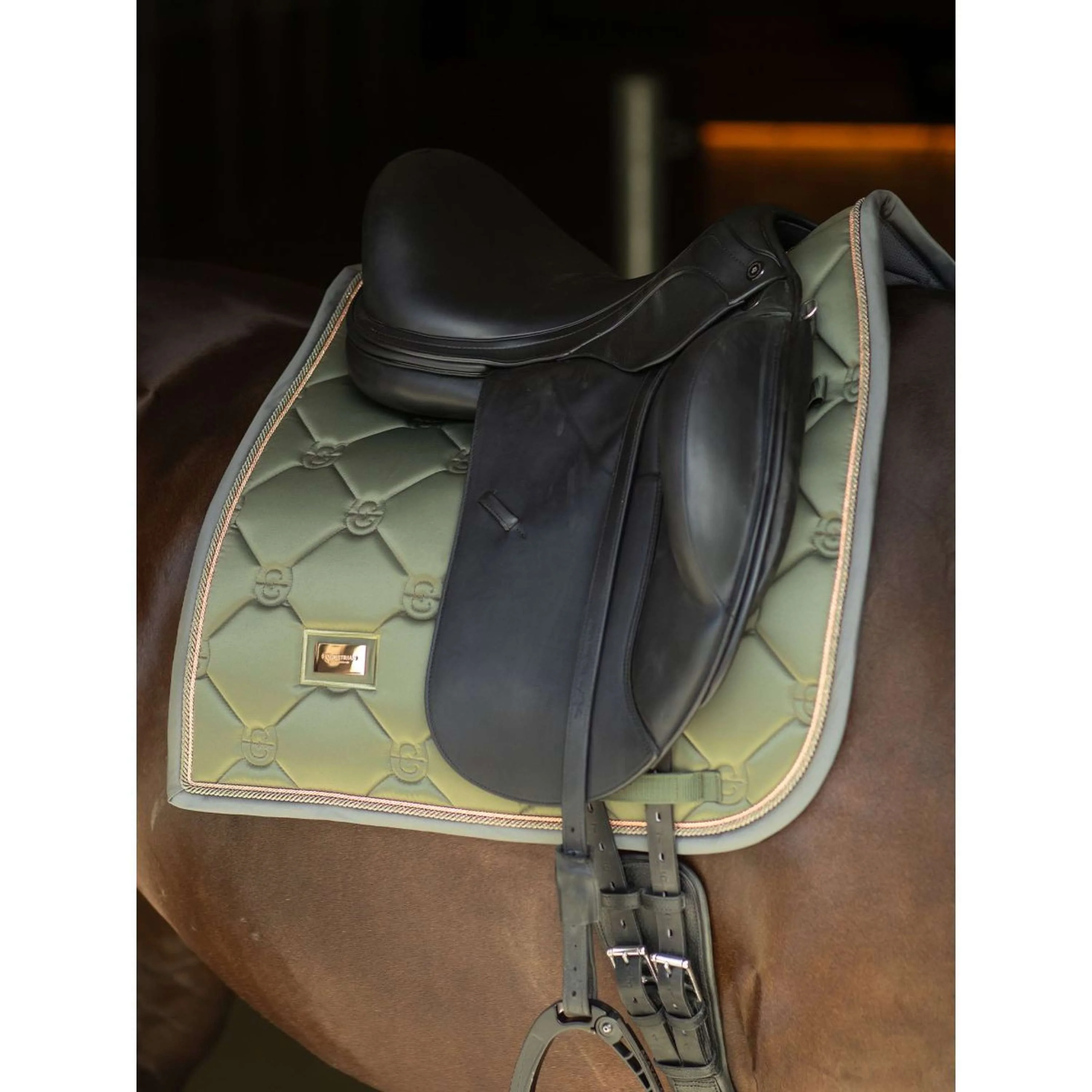 Equestrian Stockholm Tapis de Selle Dressage Striking Valley - Image 2