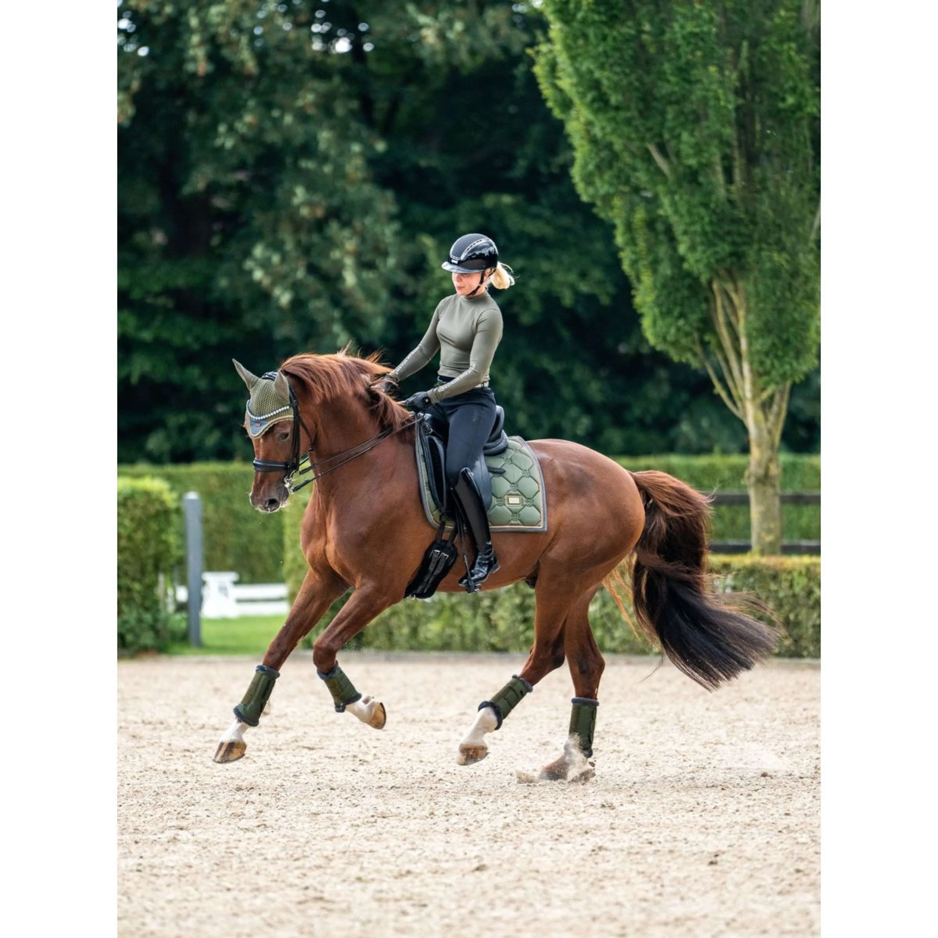 Equestrian Stockholm Tapis de Selle Dressage Striking Valley - Image 3