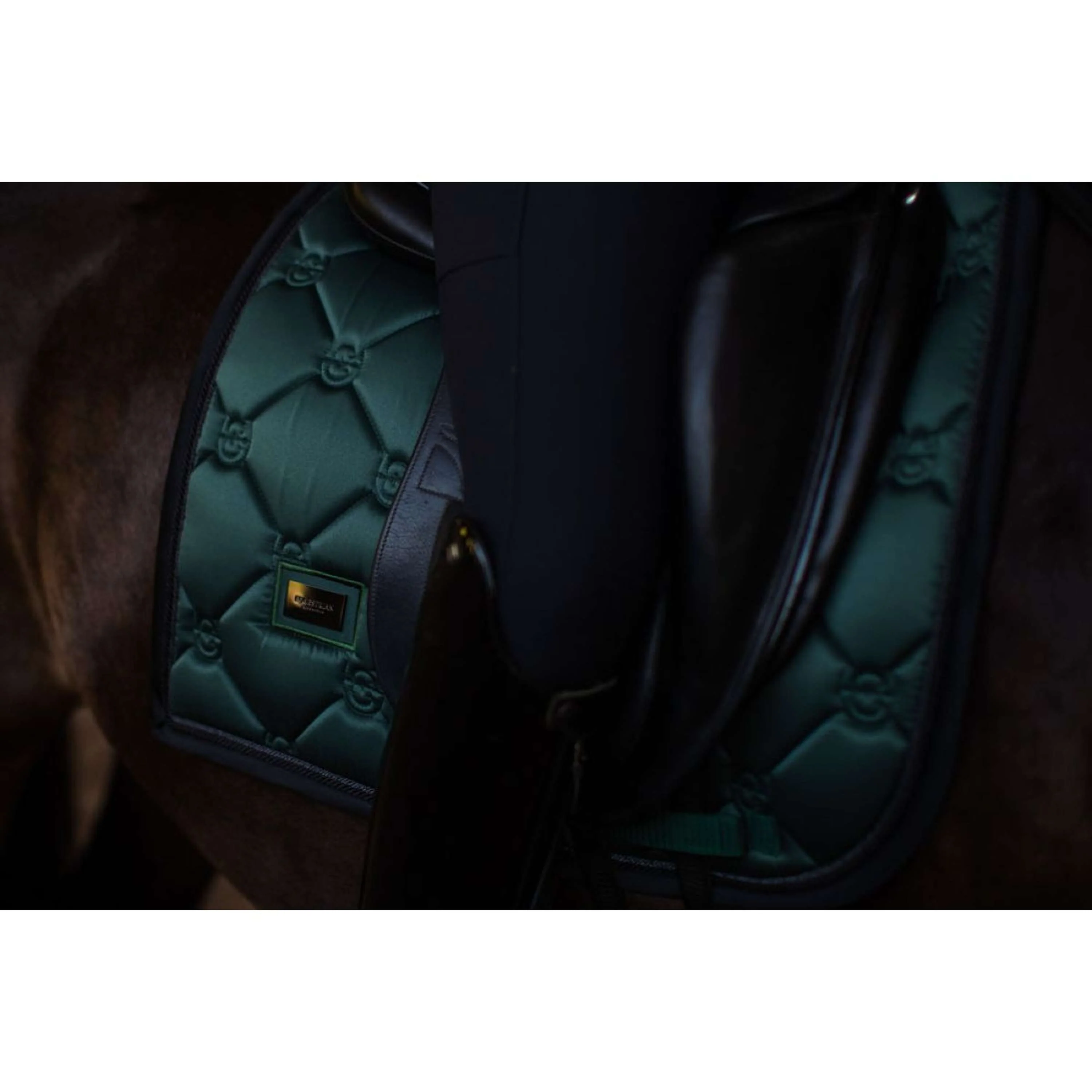 Equestrian Stockholm Tapis de Selle Dressage Sycamore Green - Image 4