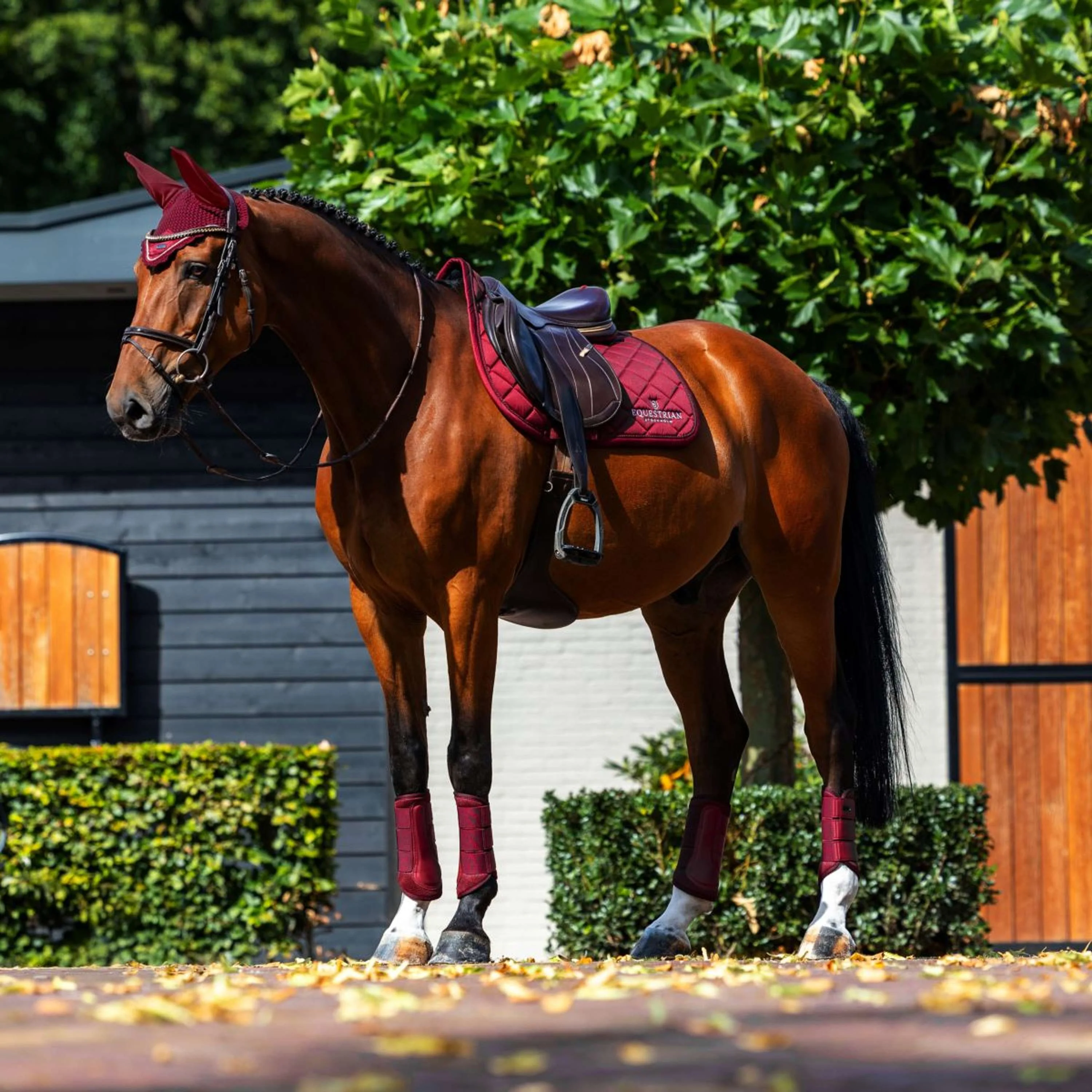 Equestrian Stockholm Tapis de Selle Line de Saut Bordeaux - Image 3
