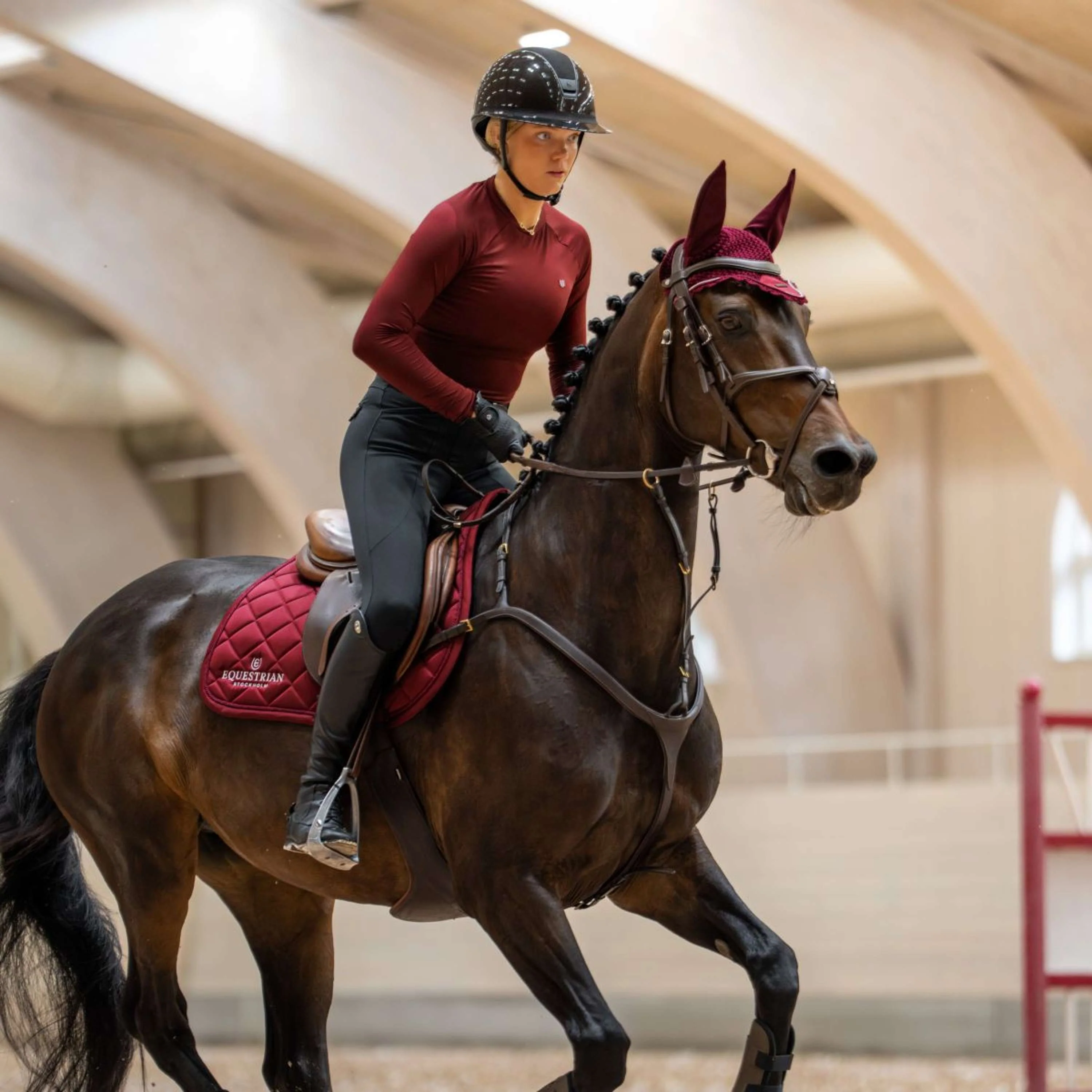 Equestrian Stockholm Tapis de Selle Line de Saut Bordeaux - Image 5