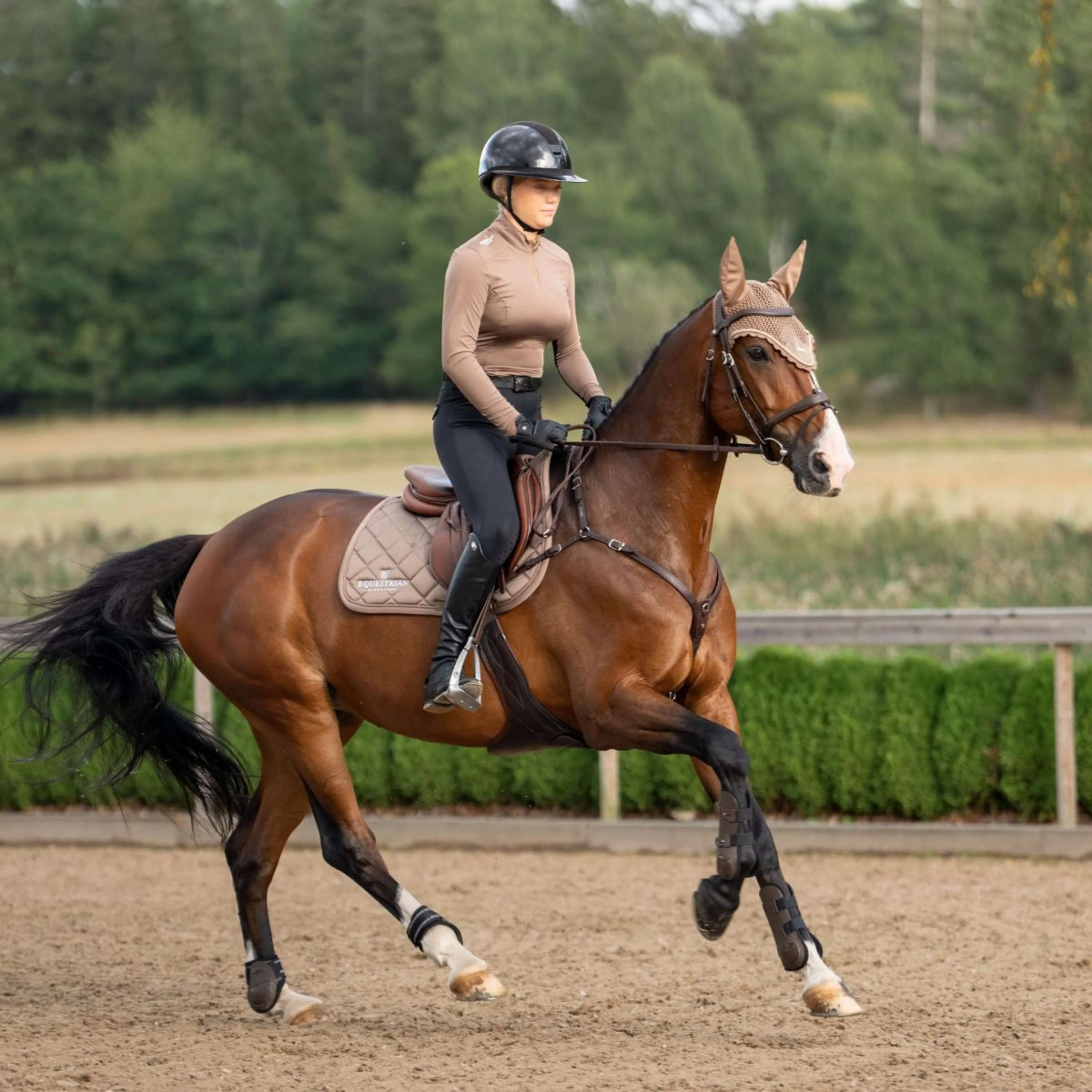 Equestrian Stockholm Tapis de Selle Line de Saut Champagne - Image 4
