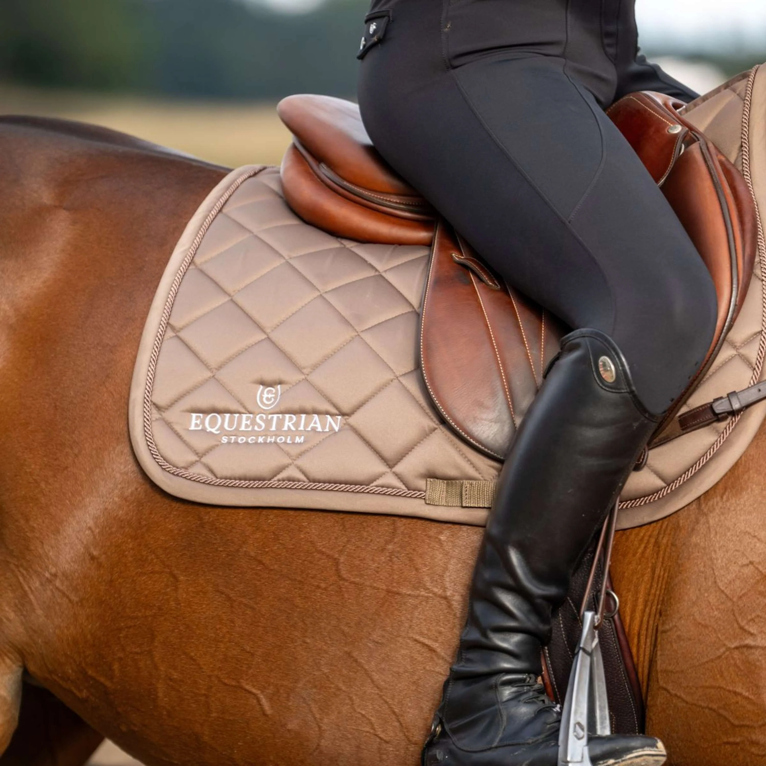Equestrian Stockholm Tapis de Selle Line de Saut Champagne - Image 5