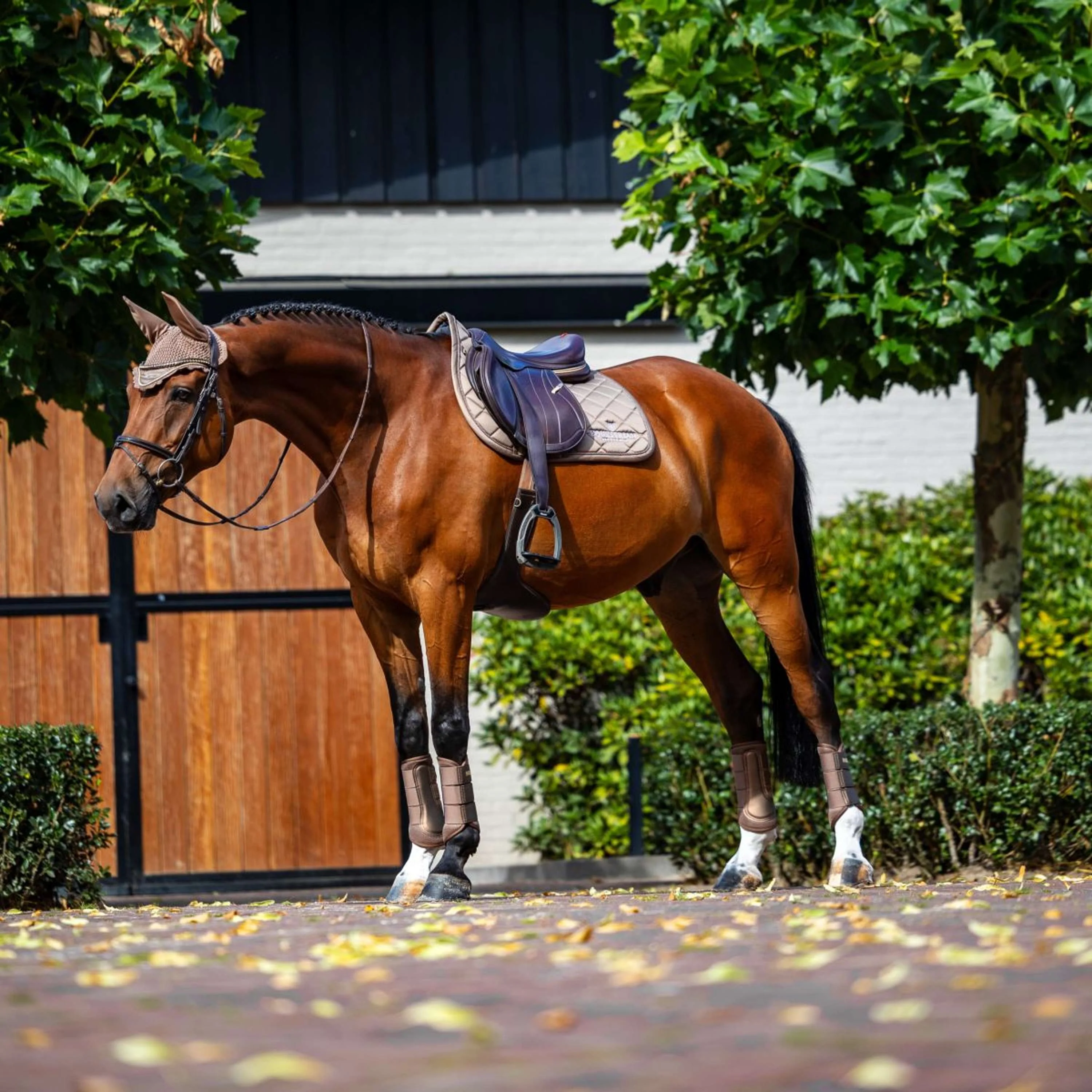 Equestrian Stockholm Tapis de Selle Line de Saut Champagne - Image 7