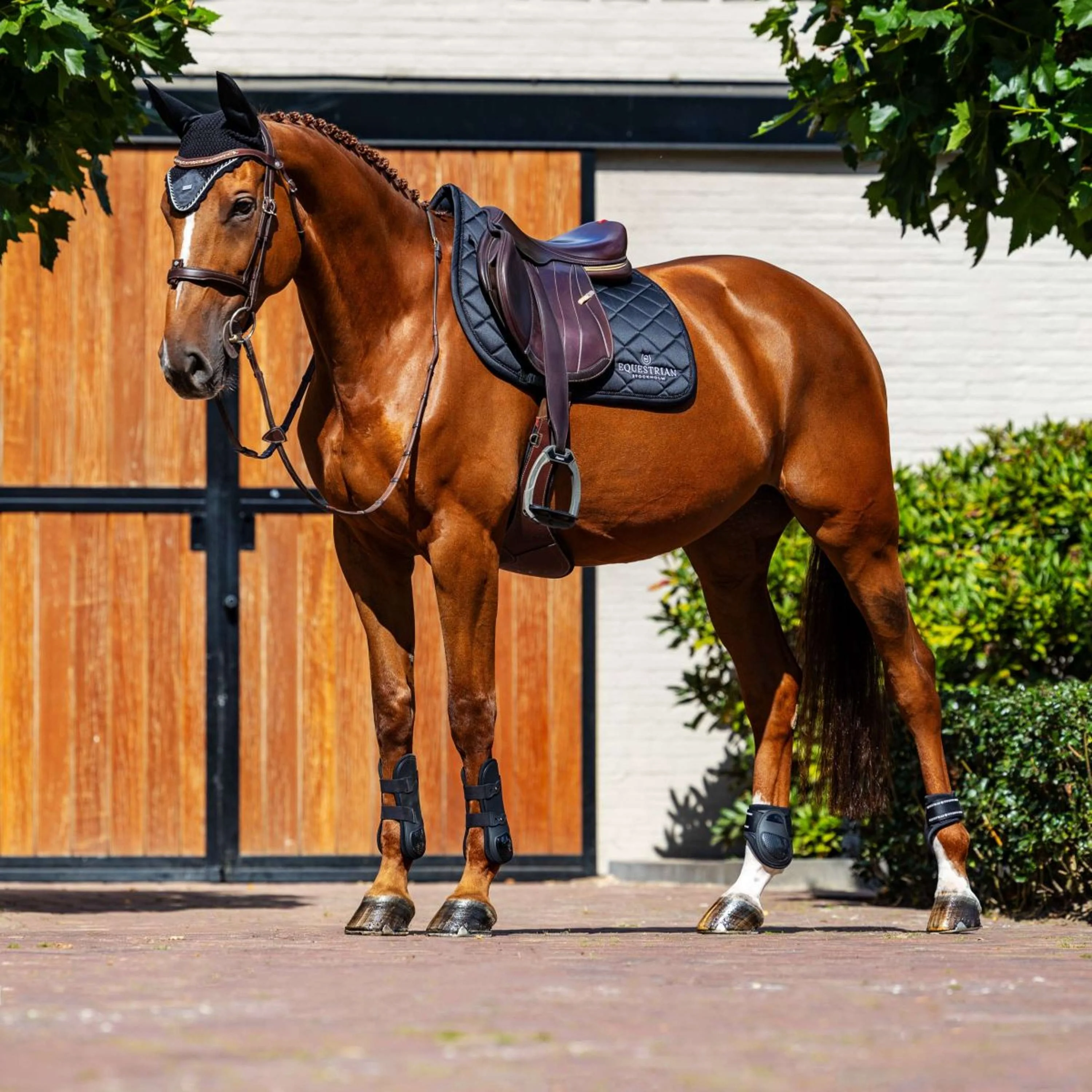 Equestrian Stockholm Tapis de Selle Line de Saut Noir - Image 4