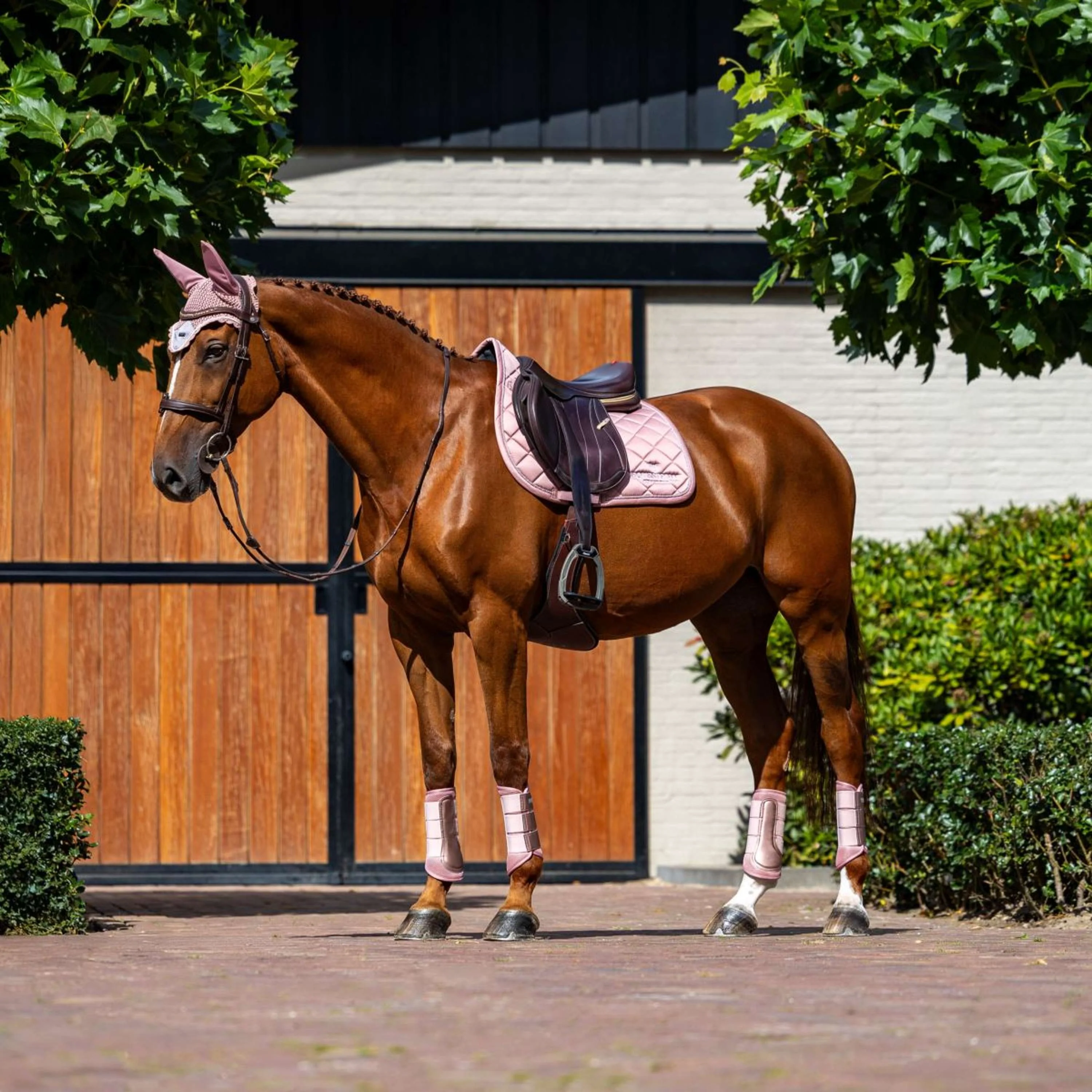 Equestrian Stockholm Tapis de Selle Line de Saut Rose - Image 3