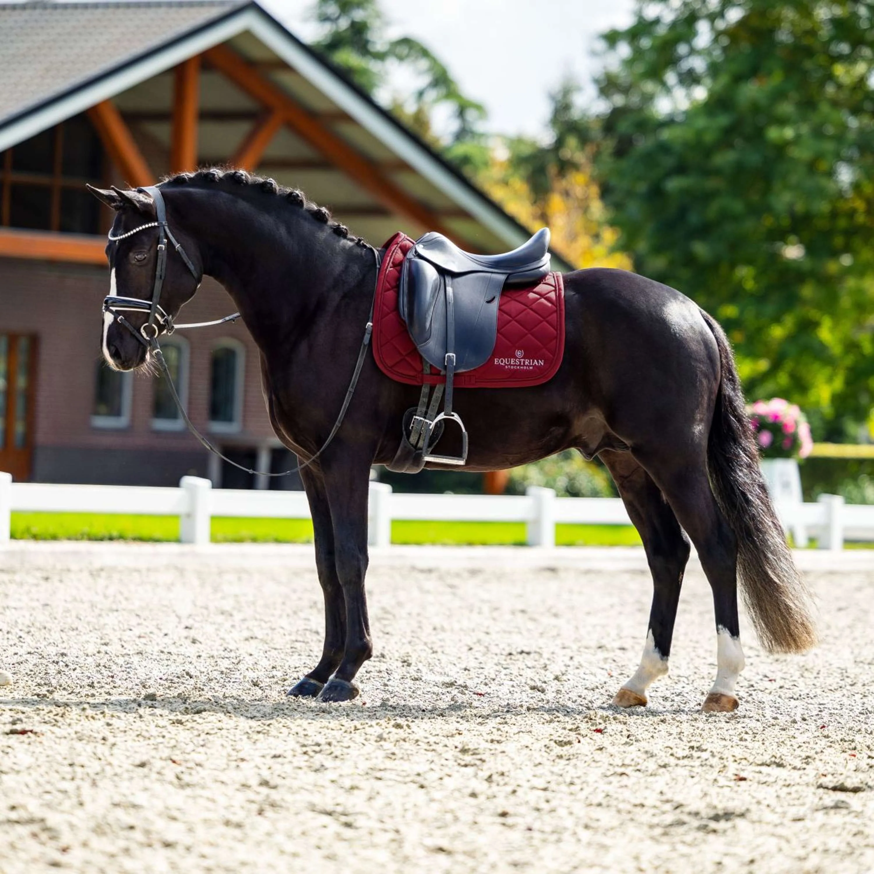 Equestrian Stockholm Tapis de Selle Line Dressage Bordeaux - Image 4