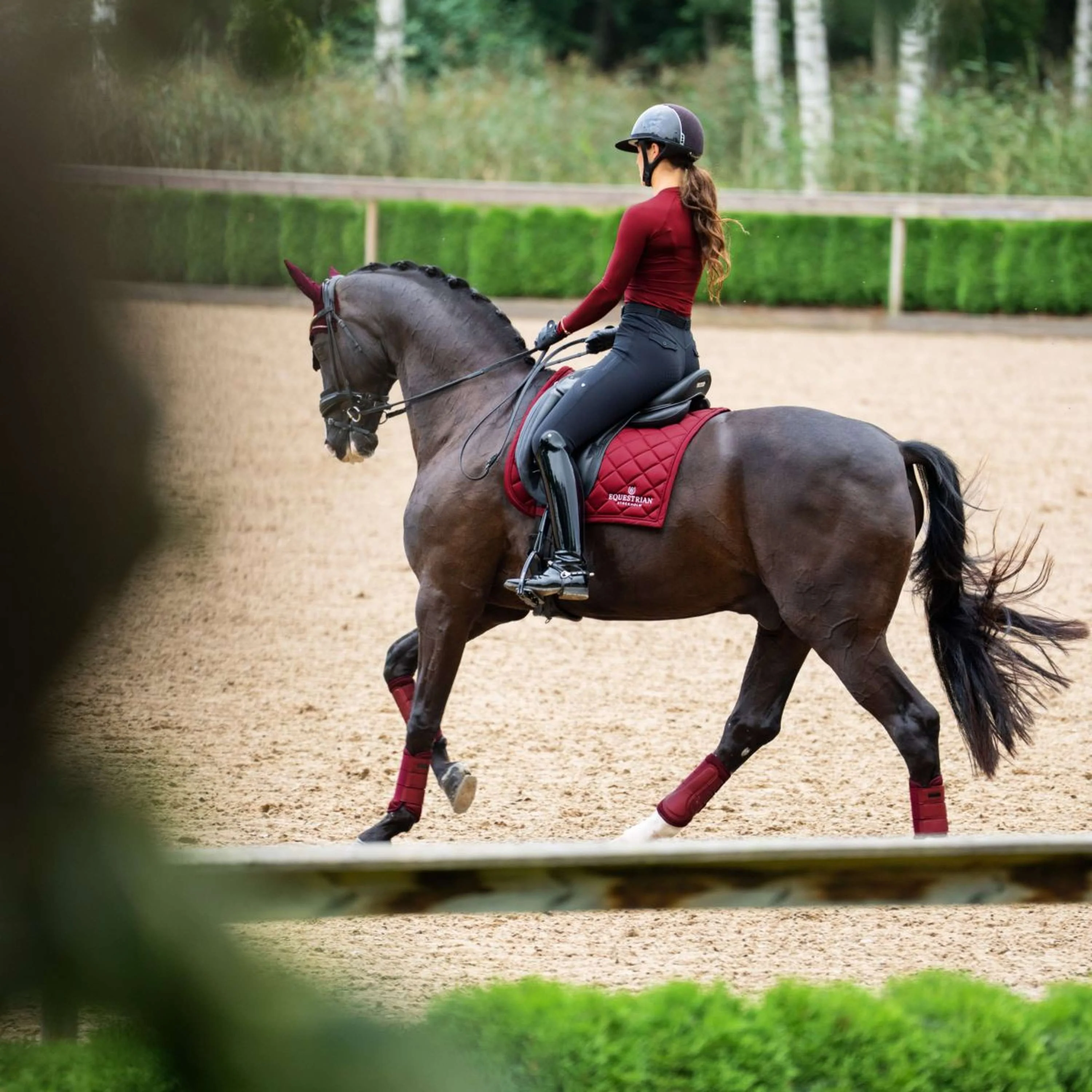 Equestrian Stockholm Tapis de Selle Line Dressage Bordeaux - Image 5