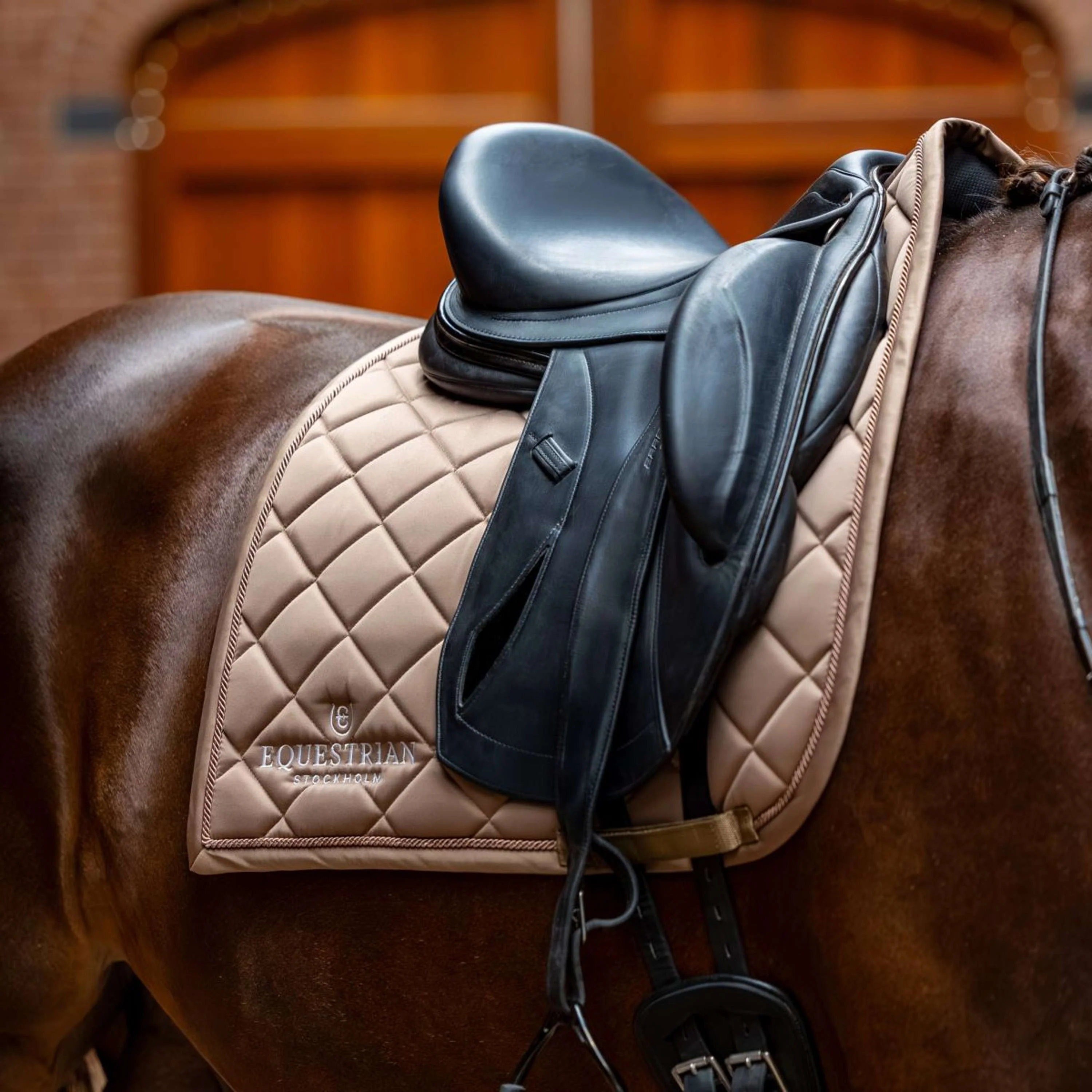 Equestrian Stockholm Tapis de Selle Line Dressage Champagne - Image 2