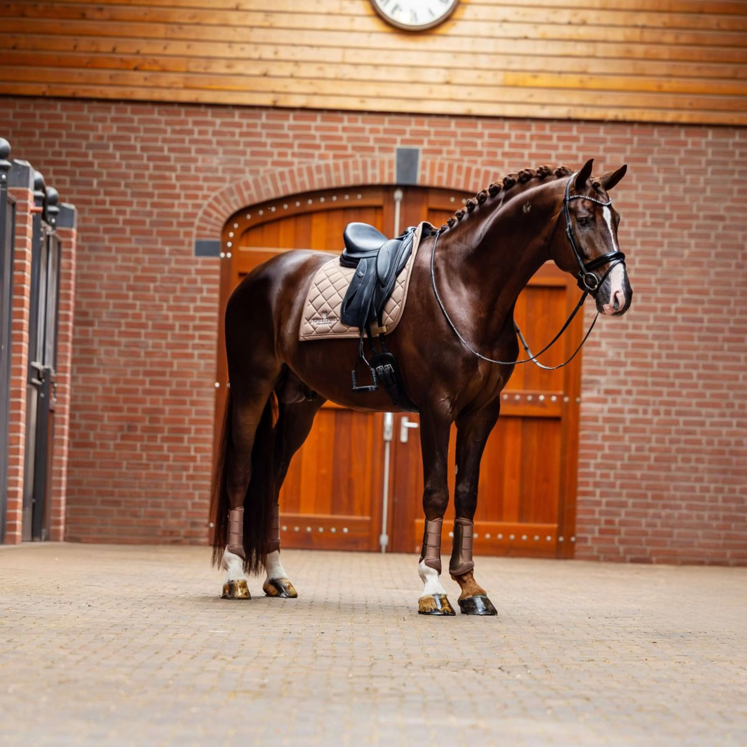 Equestrian Stockholm Tapis de Selle Line Dressage Champagne - Image 3