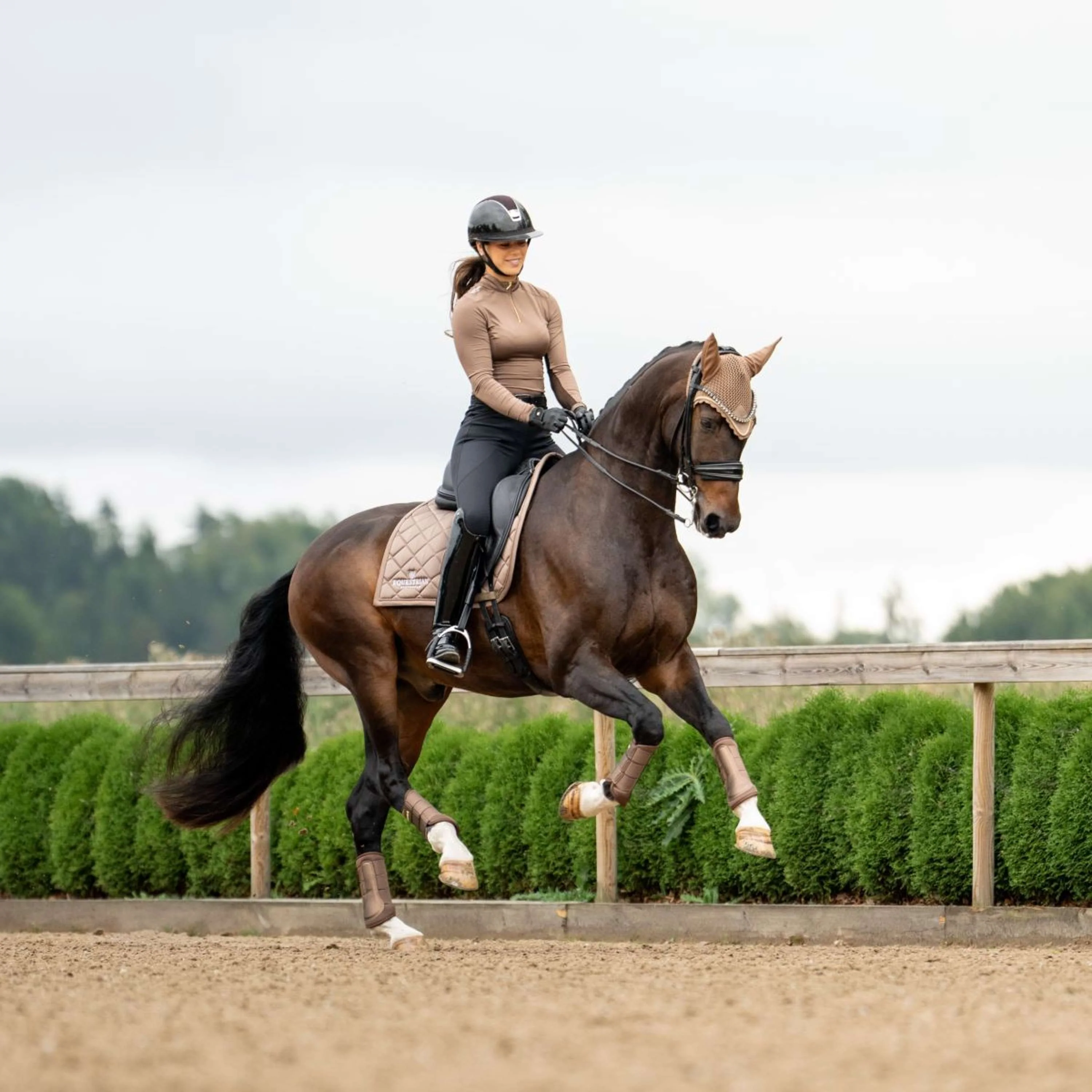 Equestrian Stockholm Tapis de Selle Line Dressage Champagne - Image 4
