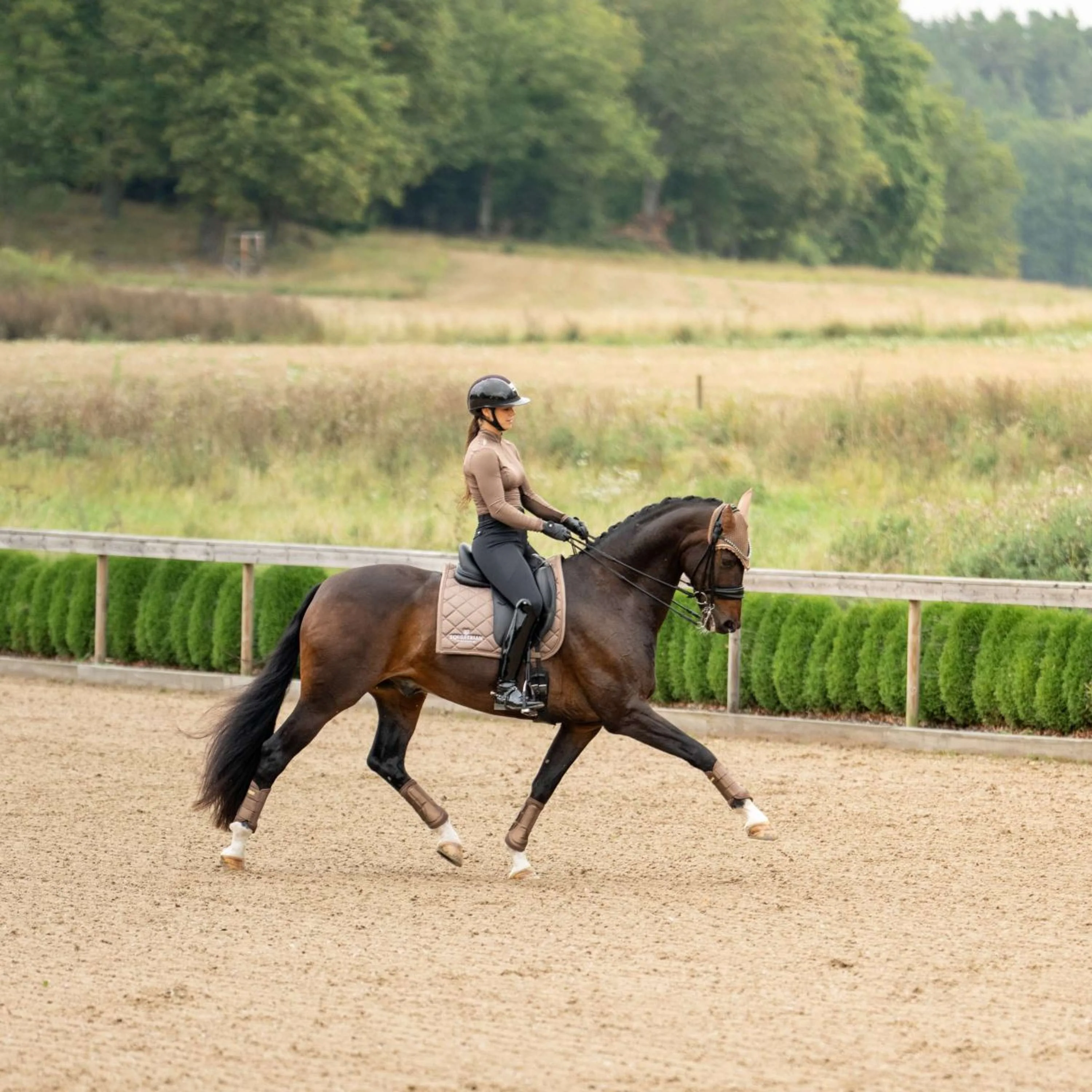 Equestrian Stockholm Tapis de Selle Line Dressage Champagne - Image 6