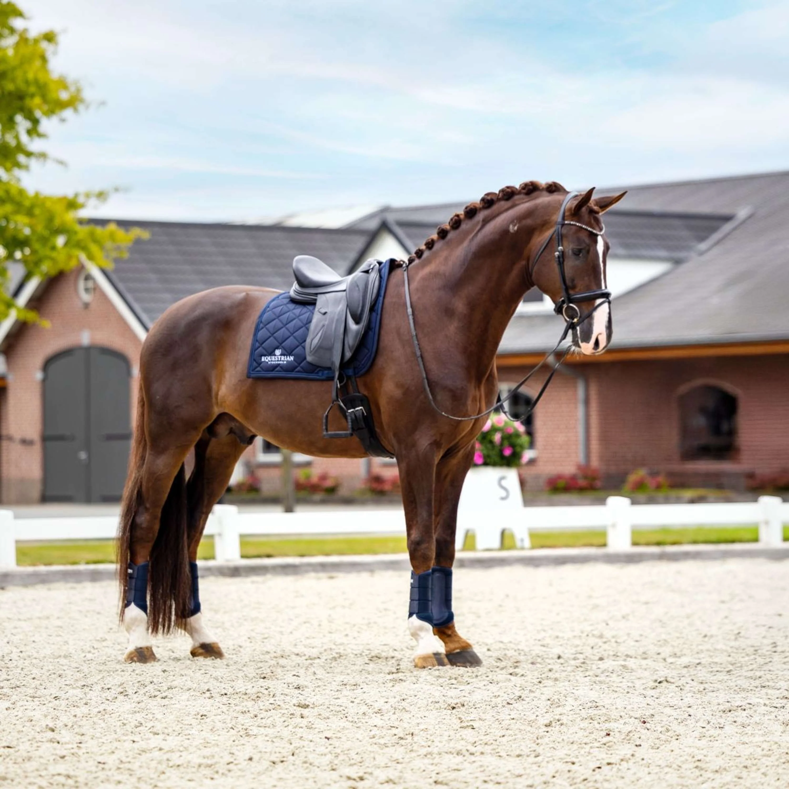 Equestrian Stockholm Tapis de Selle Line Dressage Marin - Image 3