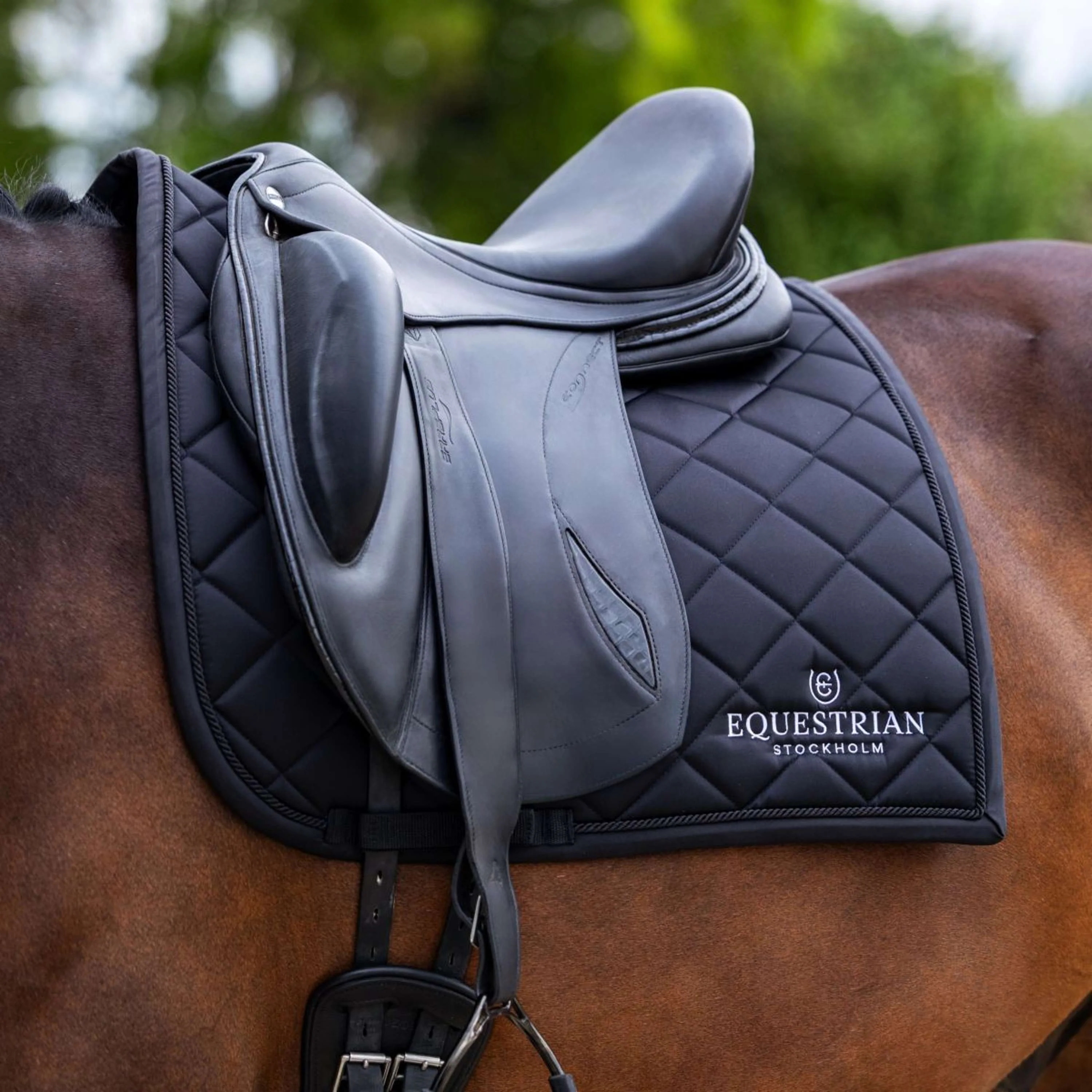 Equestrian Stockholm Tapis de Selle Line Dressage Noir - Image 2