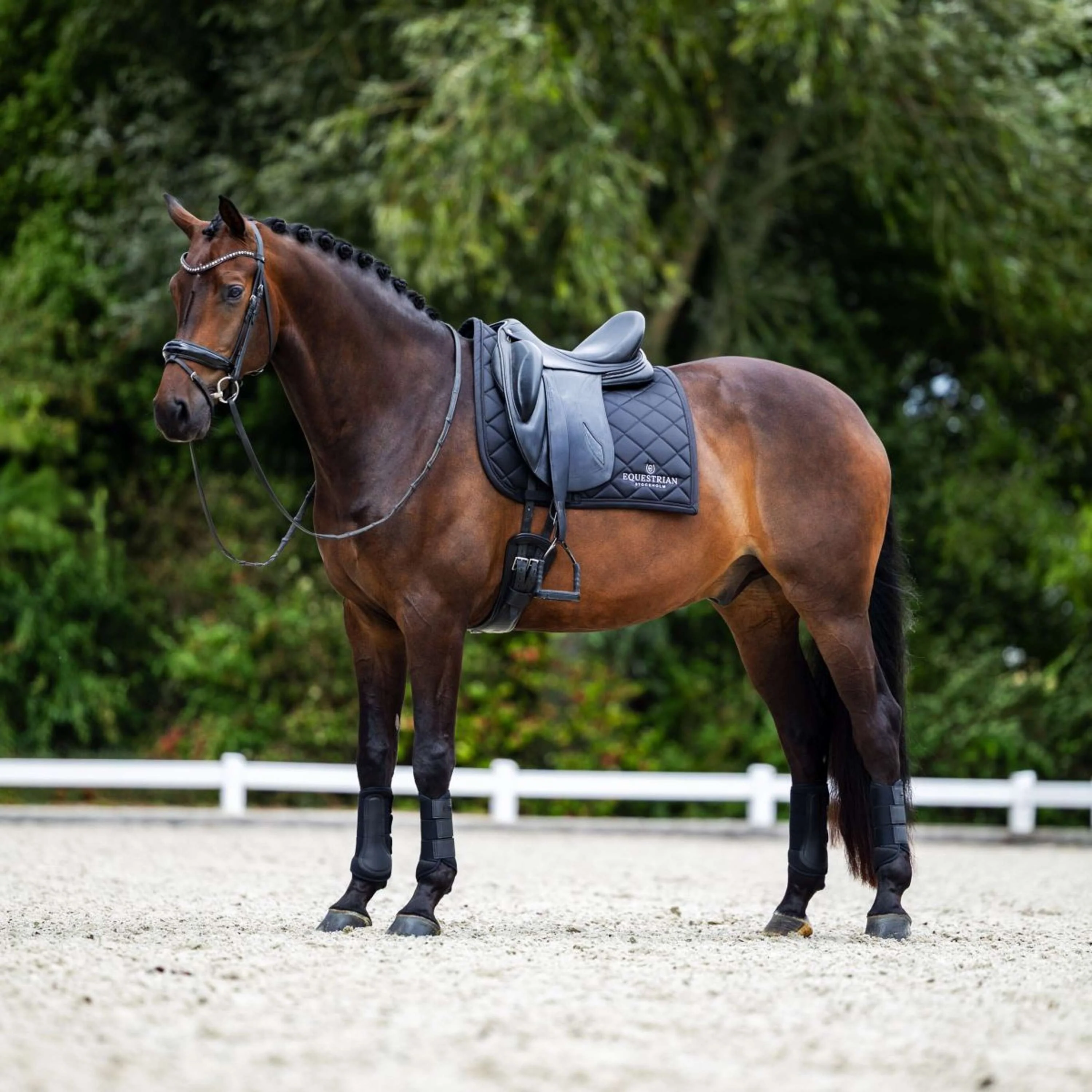 Equestrian Stockholm Tapis de Selle Line Dressage Noir - Image 3