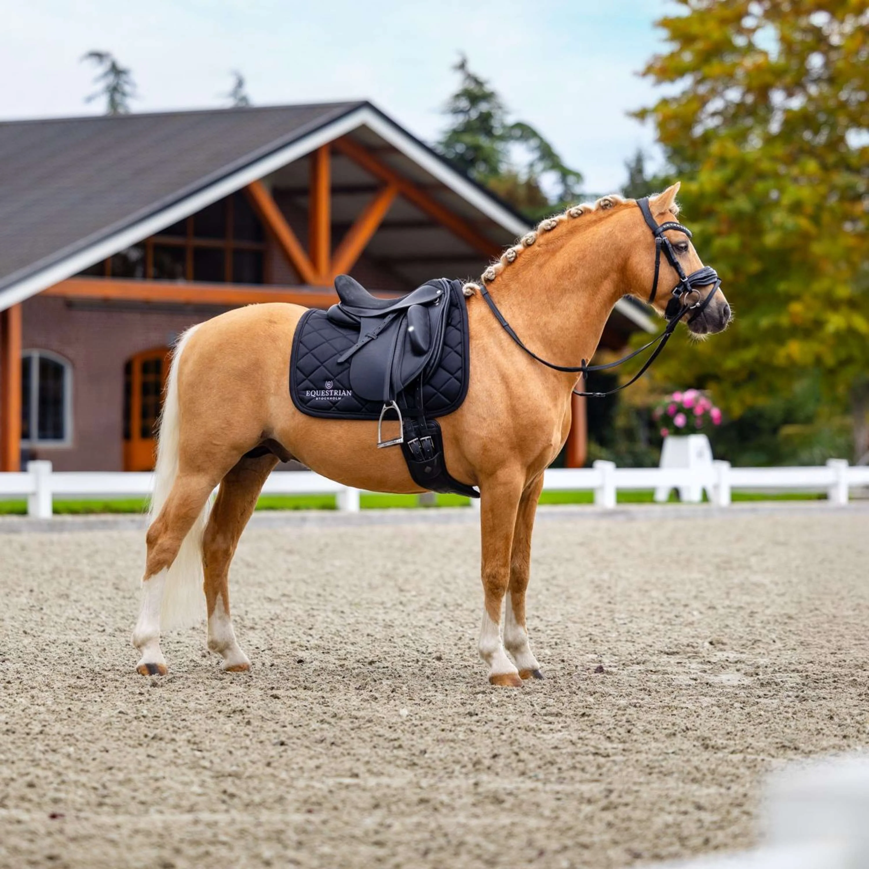 Equestrian Stockholm Tapis de Selle Line Dressage Noir - Image 4