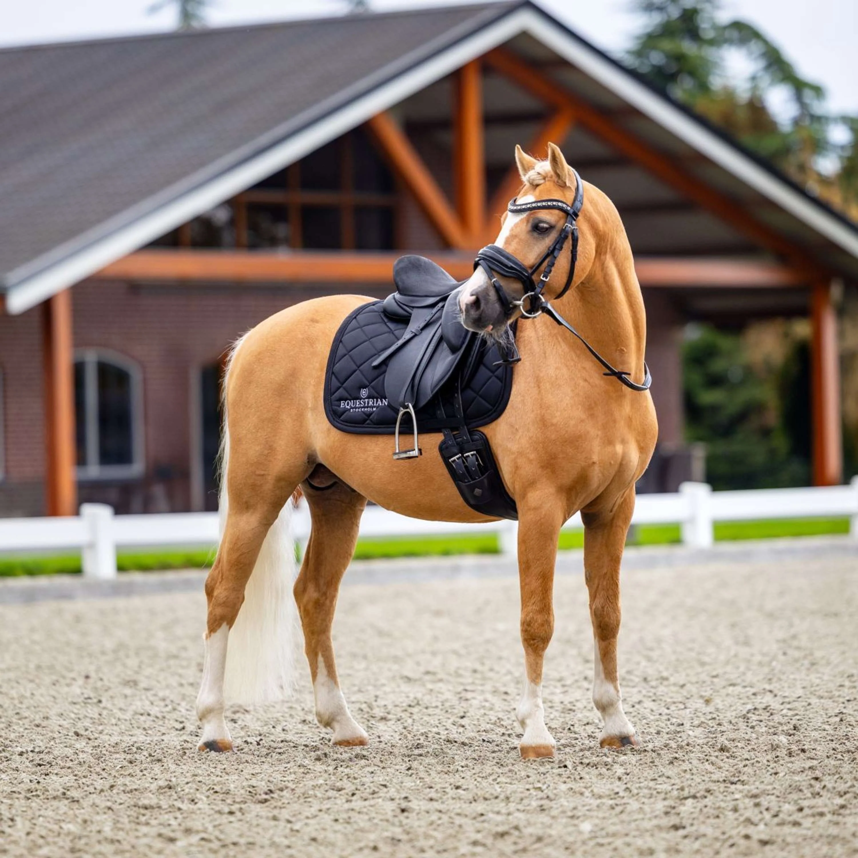 Equestrian Stockholm Tapis de Selle Line Dressage Noir - Image 5