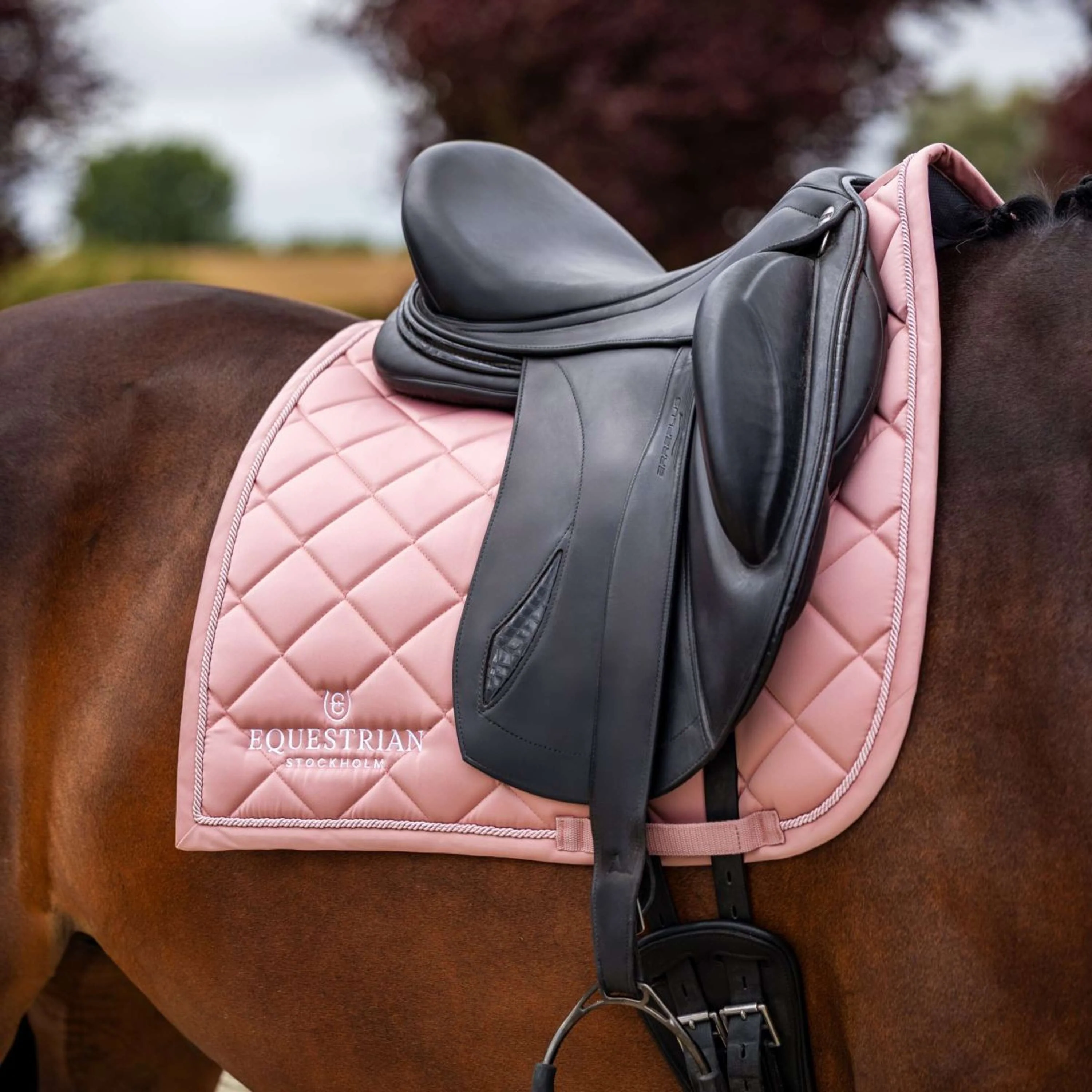 Equestrian Stockholm Tapis de Selle Line Dressage Rose - Image 2