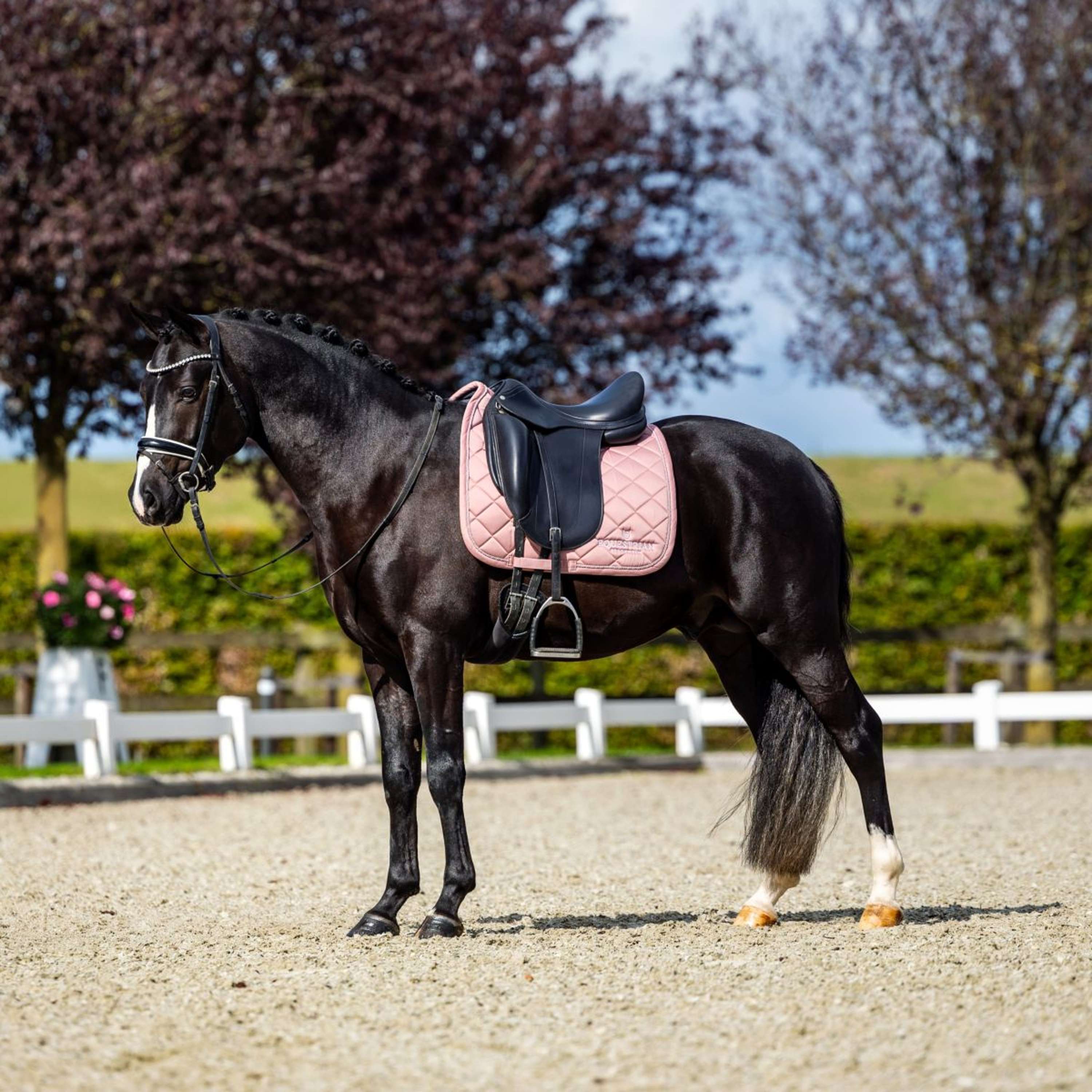 Equestrian Stockholm Tapis de Selle Line Dressage Rose - Image 6