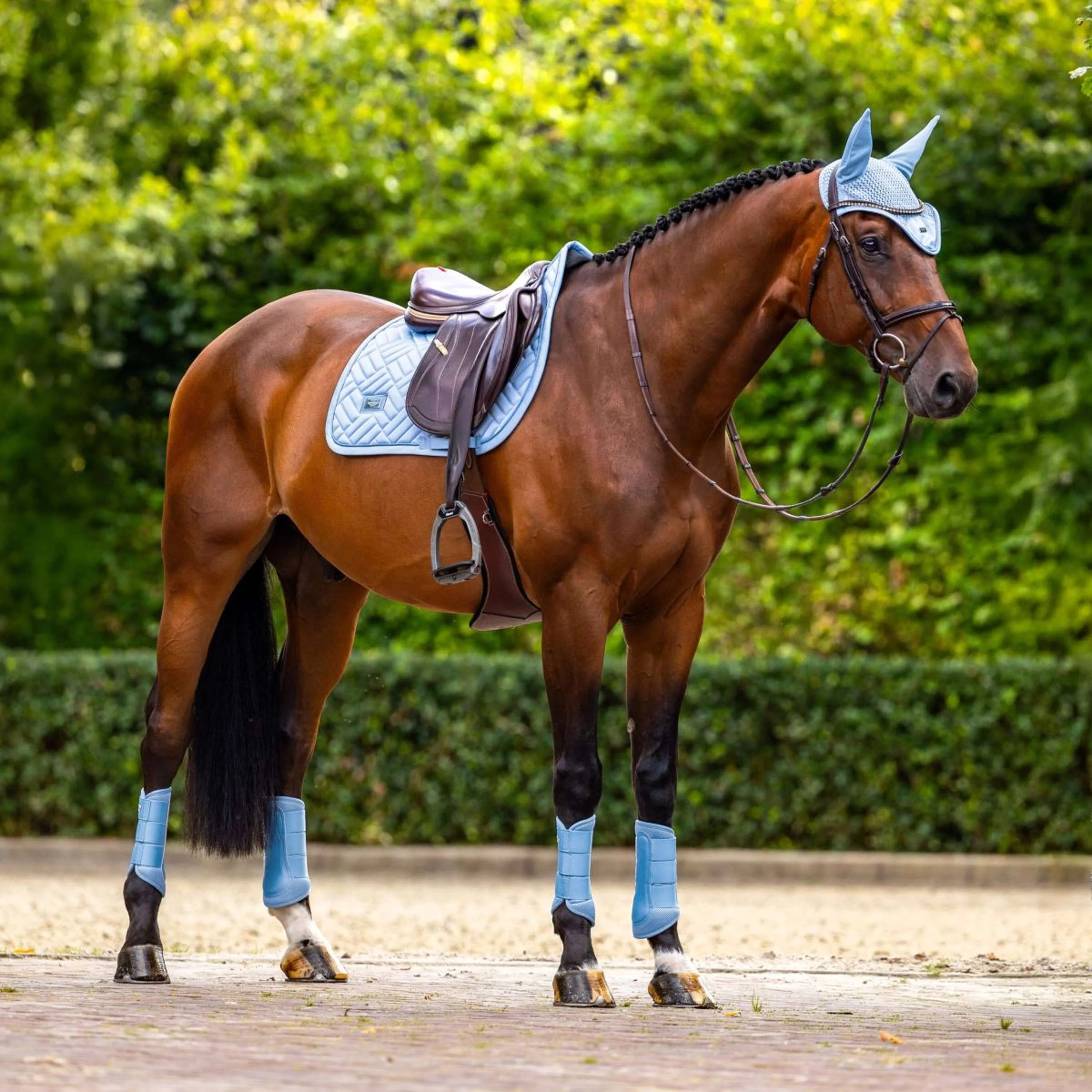 Equestrian Stockholm Guêtres Classic Mesh Midsummer Blue - Image 4