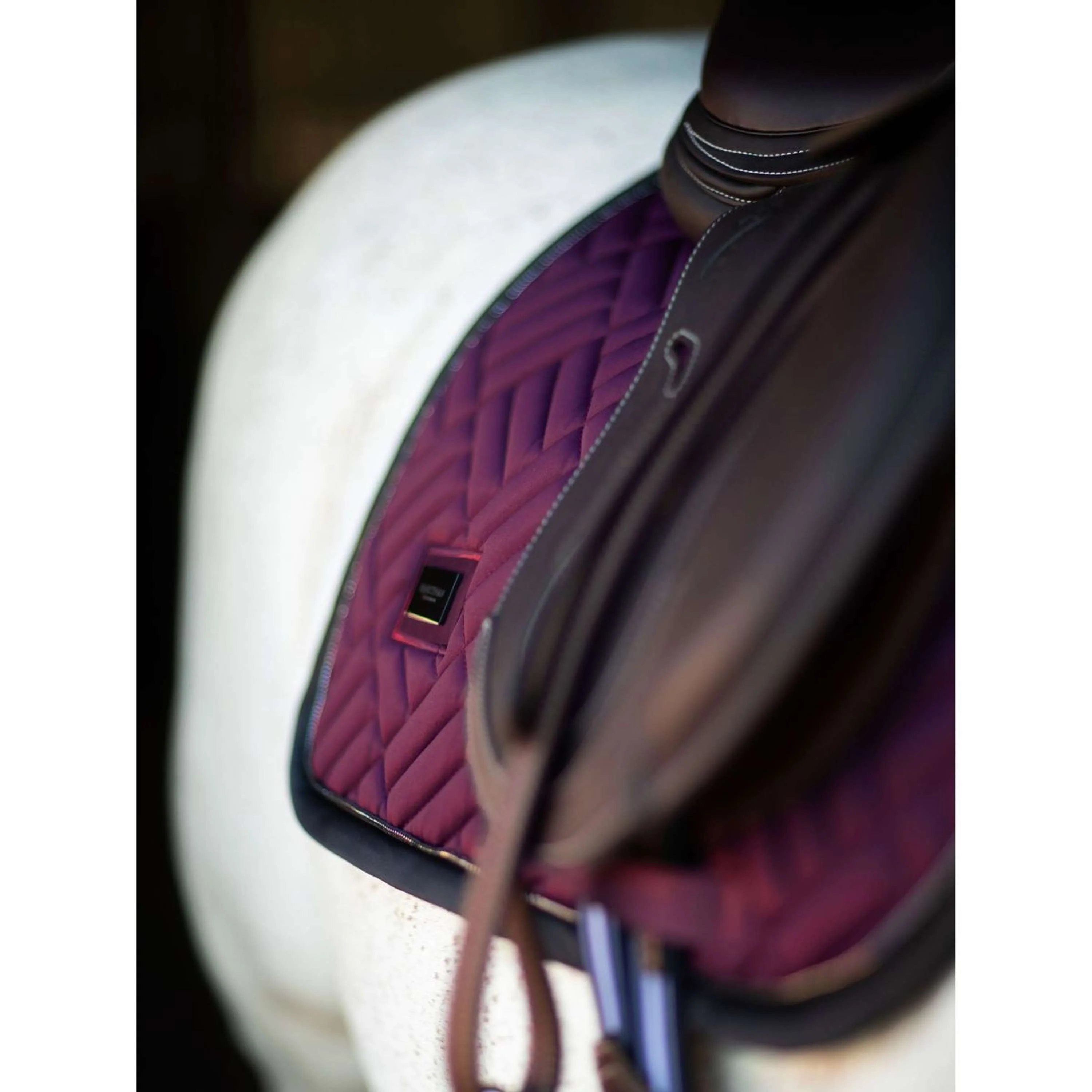 Equestrian Stockholm Tapis de Selle Modern de Saut Purple Night - Image 3