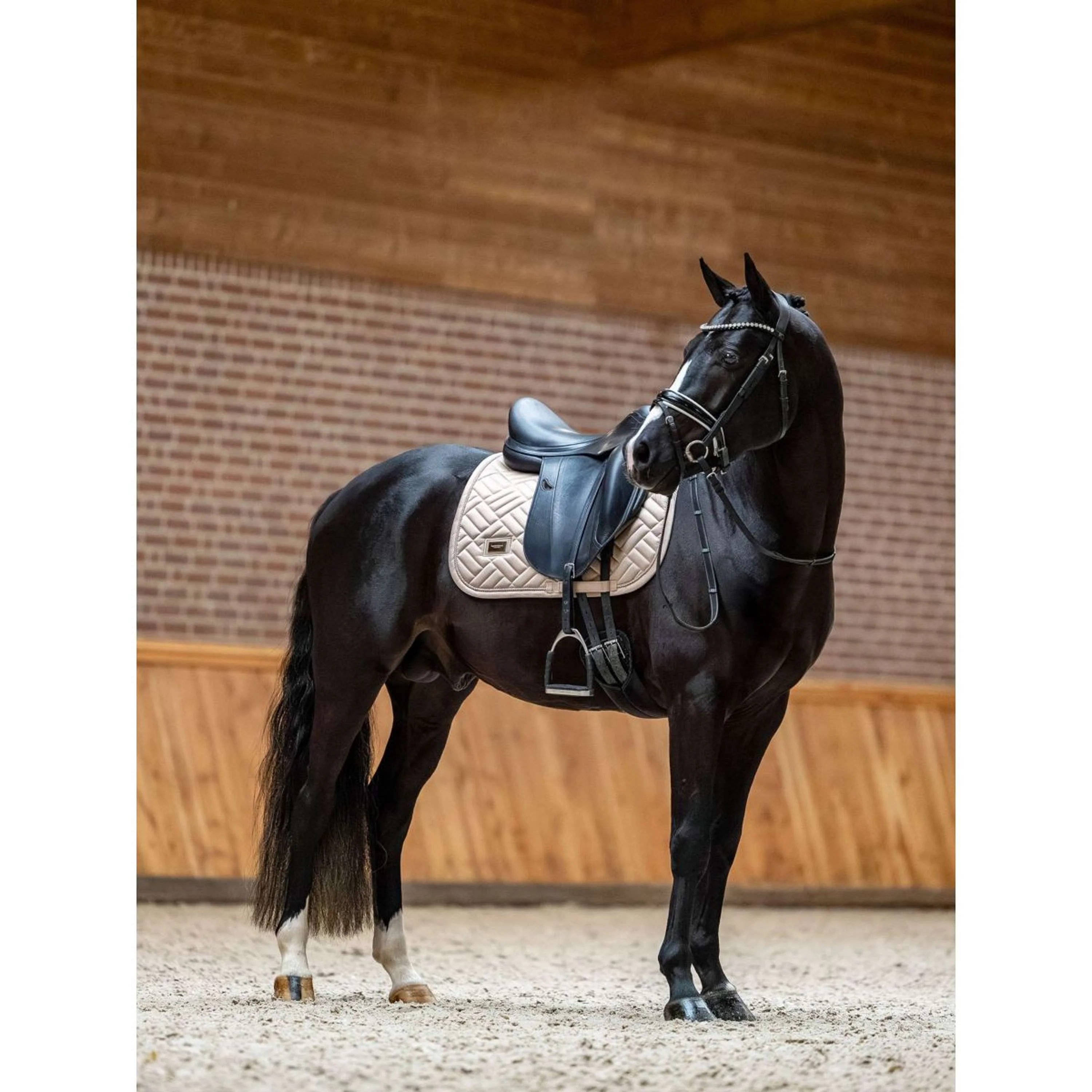 Equestrian Stockholm Tapis de Selle Modern de Saut Sable - Image 4