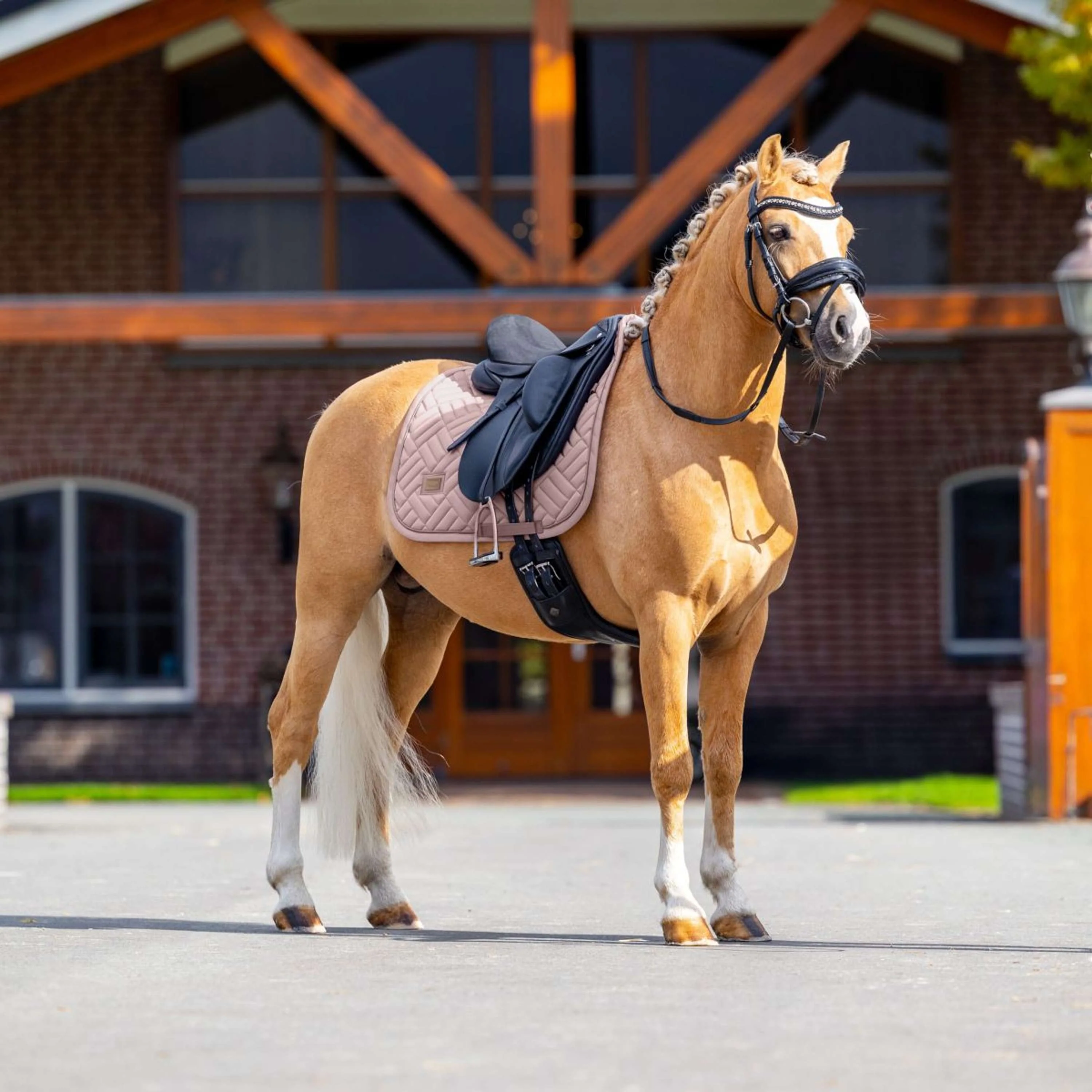 Equestrian Stockholm Tapis de Selle Modern Dressage Midsummer Blush - Image 4