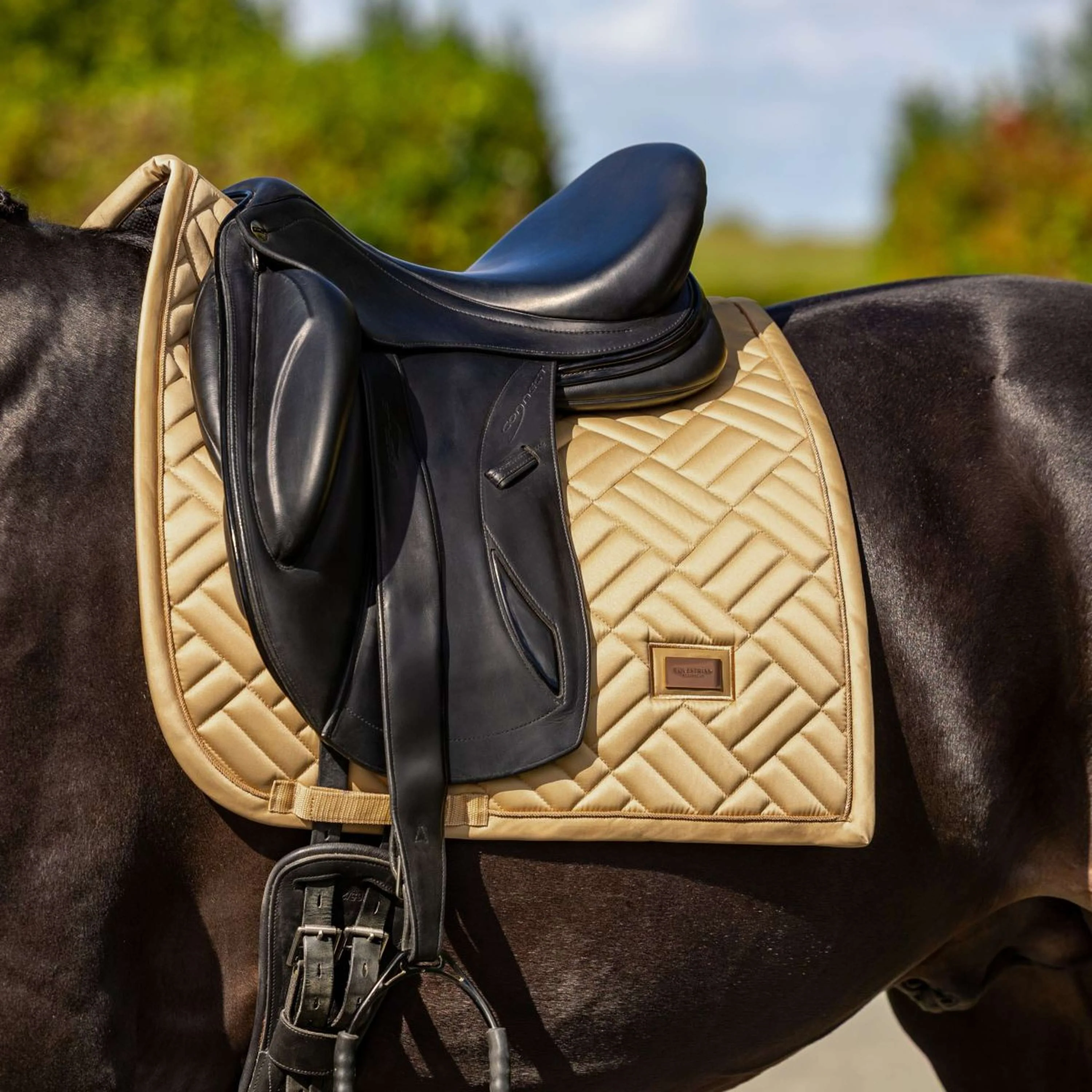 Equestrian Stockholm Tapis de Selle Modern Dressage Midsummer Glow - Image 2