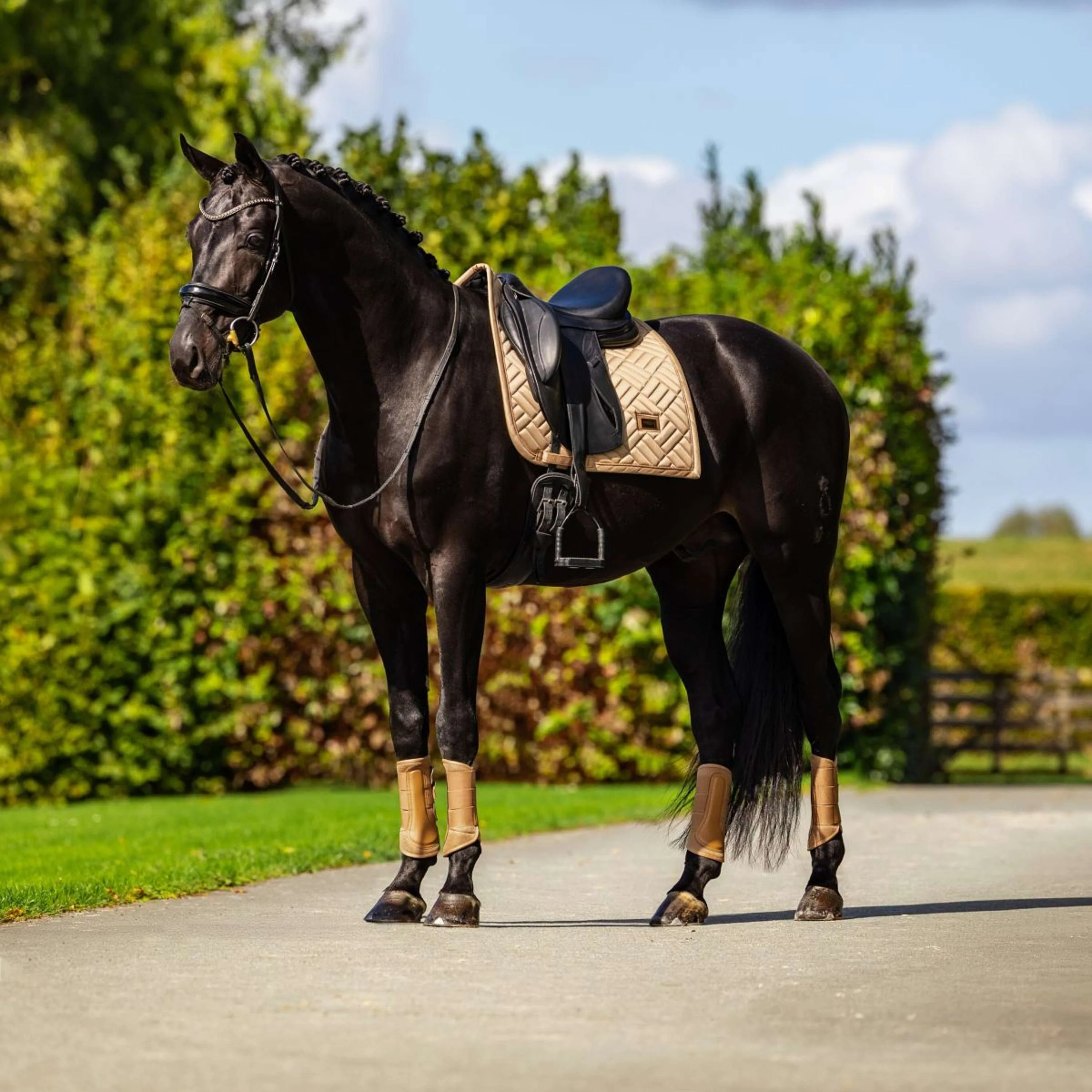 Equestrian Stockholm Guêtres Classic Mesh Midsummer Glow - Image 3