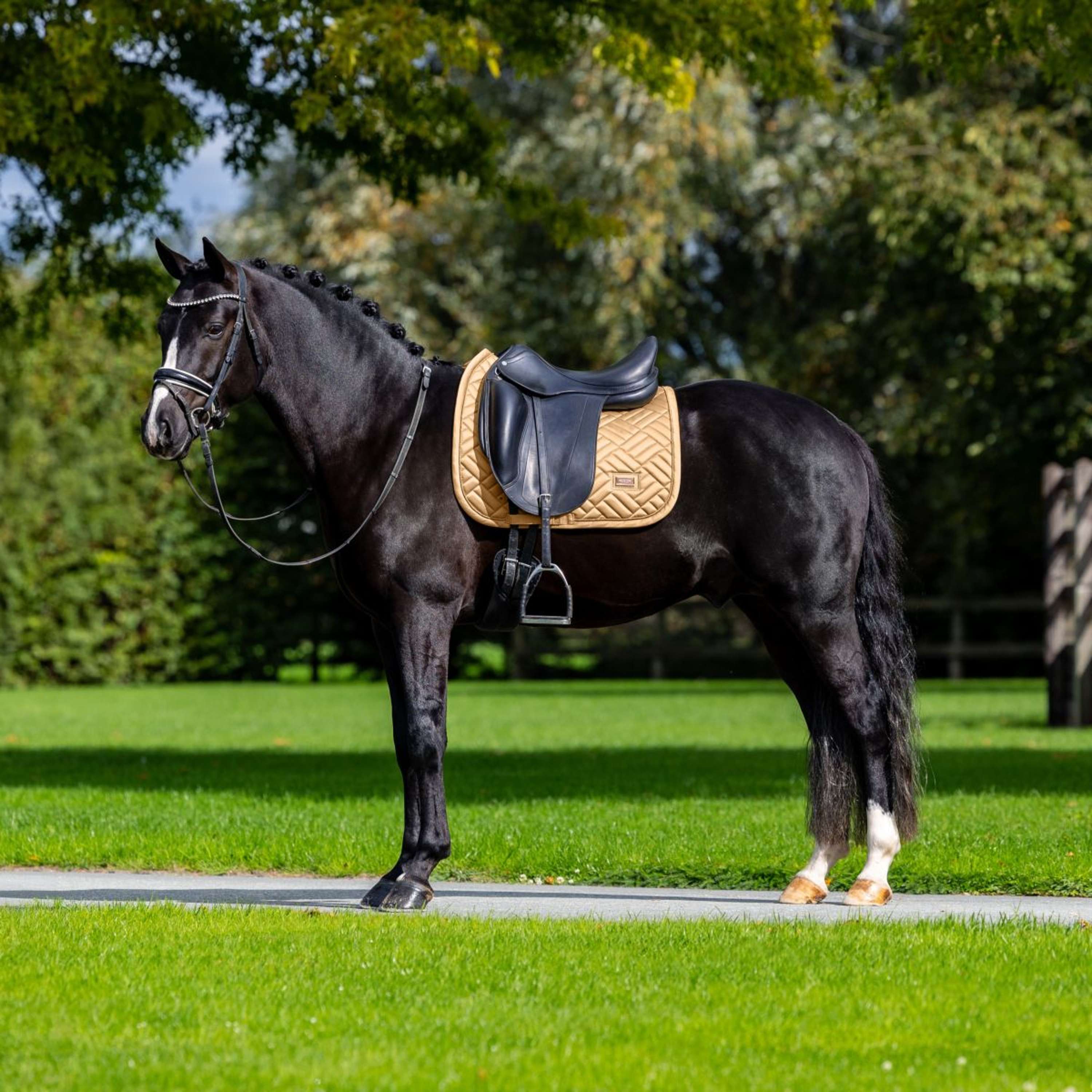 Equestrian Stockholm Tapis de Selle Modern Dressage Midsummer Glow - Image 5