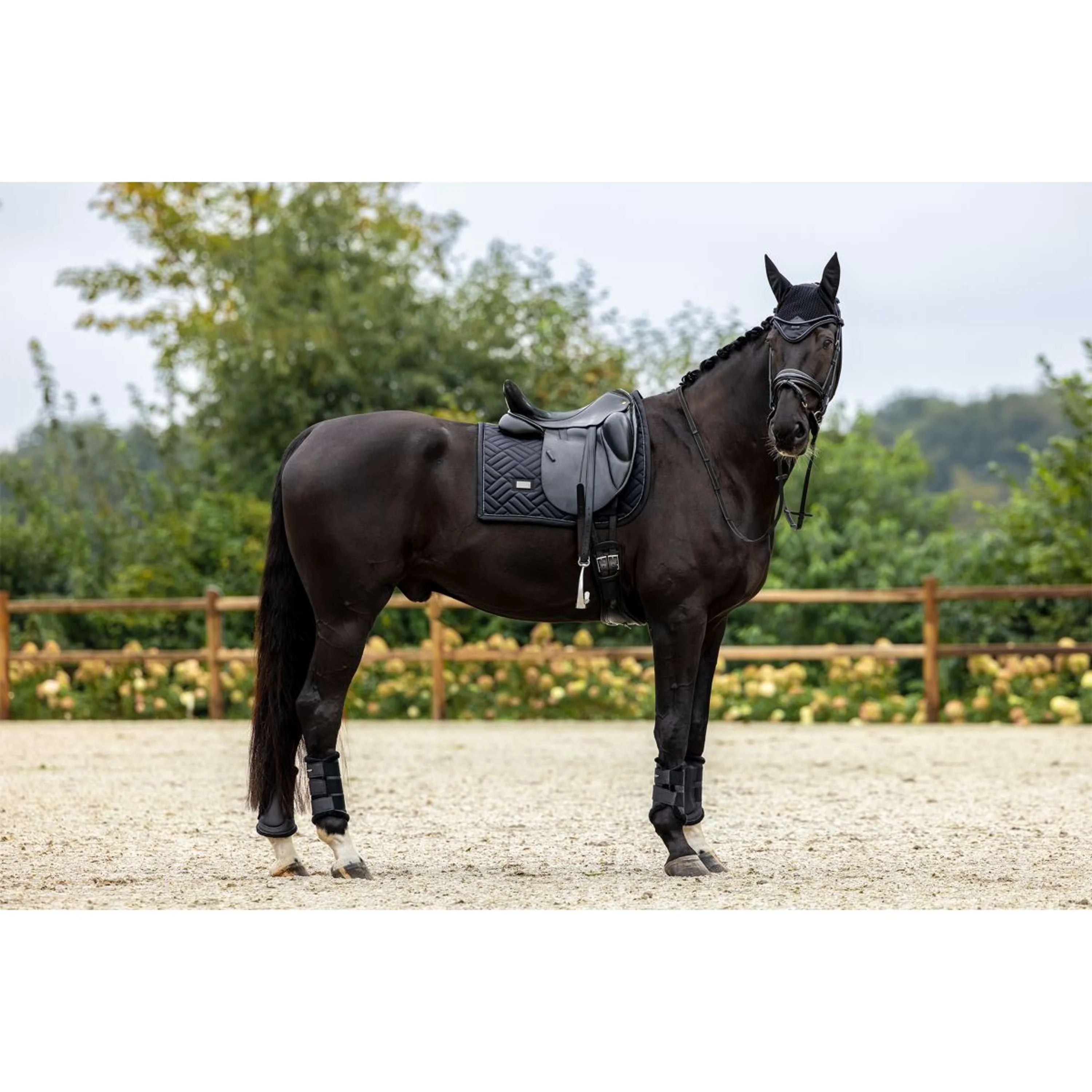 Equestrian Stockholm Bonnet Anti-Mouches Black Edition - Image 2