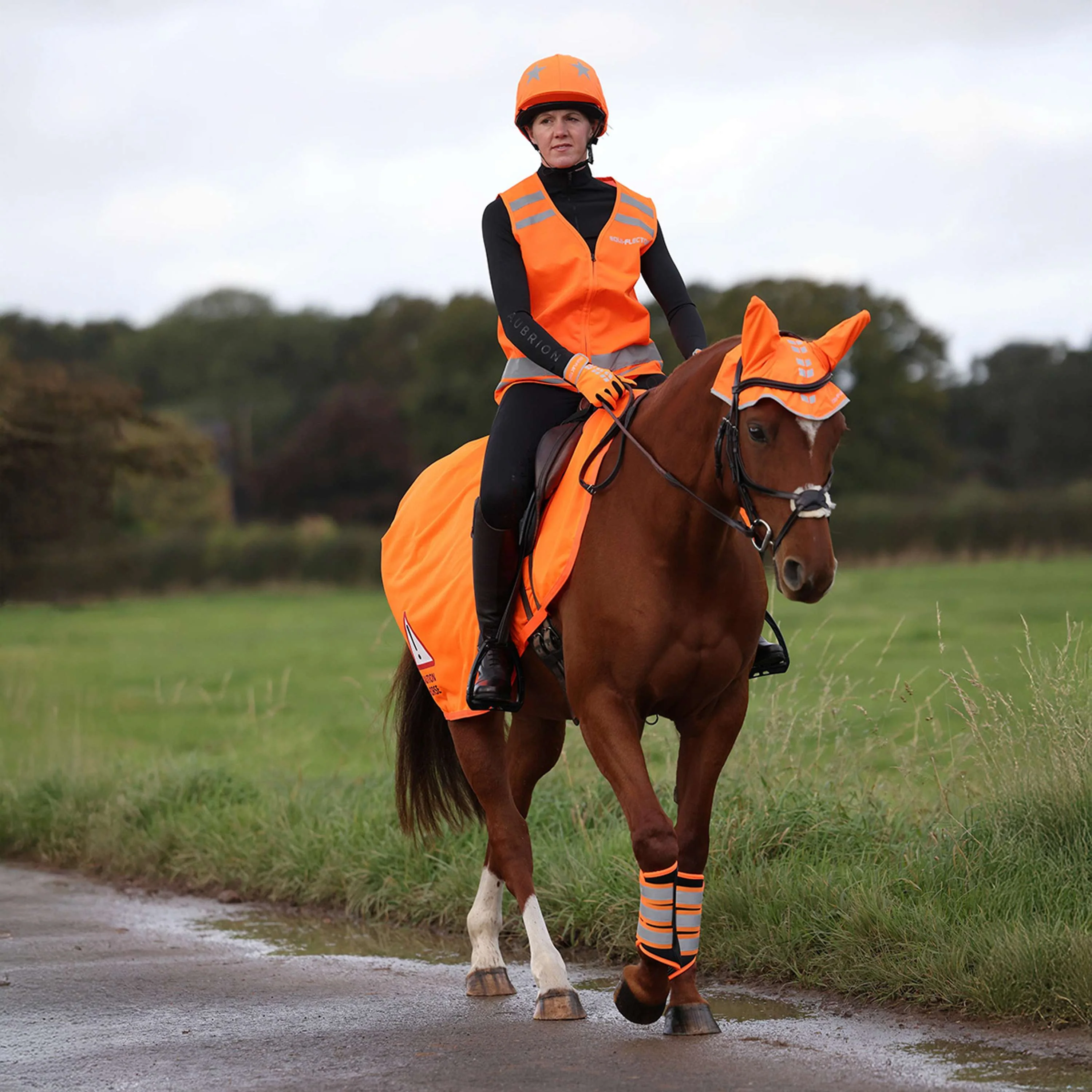 Equi-Flector by Shires Couvre-reins Mesh Réfléchissant Orange - Image 4