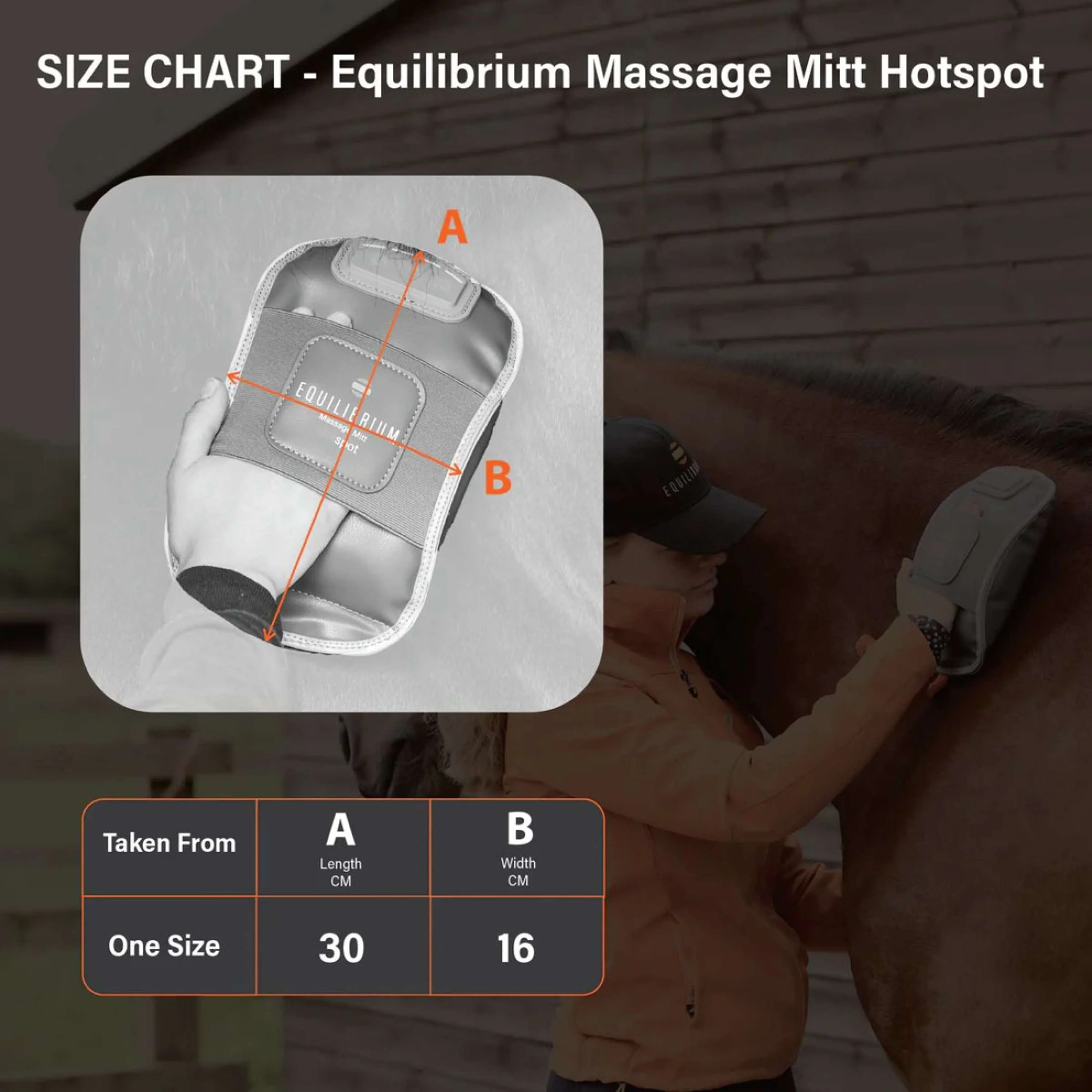 Equilibrium Gant de Massage Hotspot Gris - Image 11