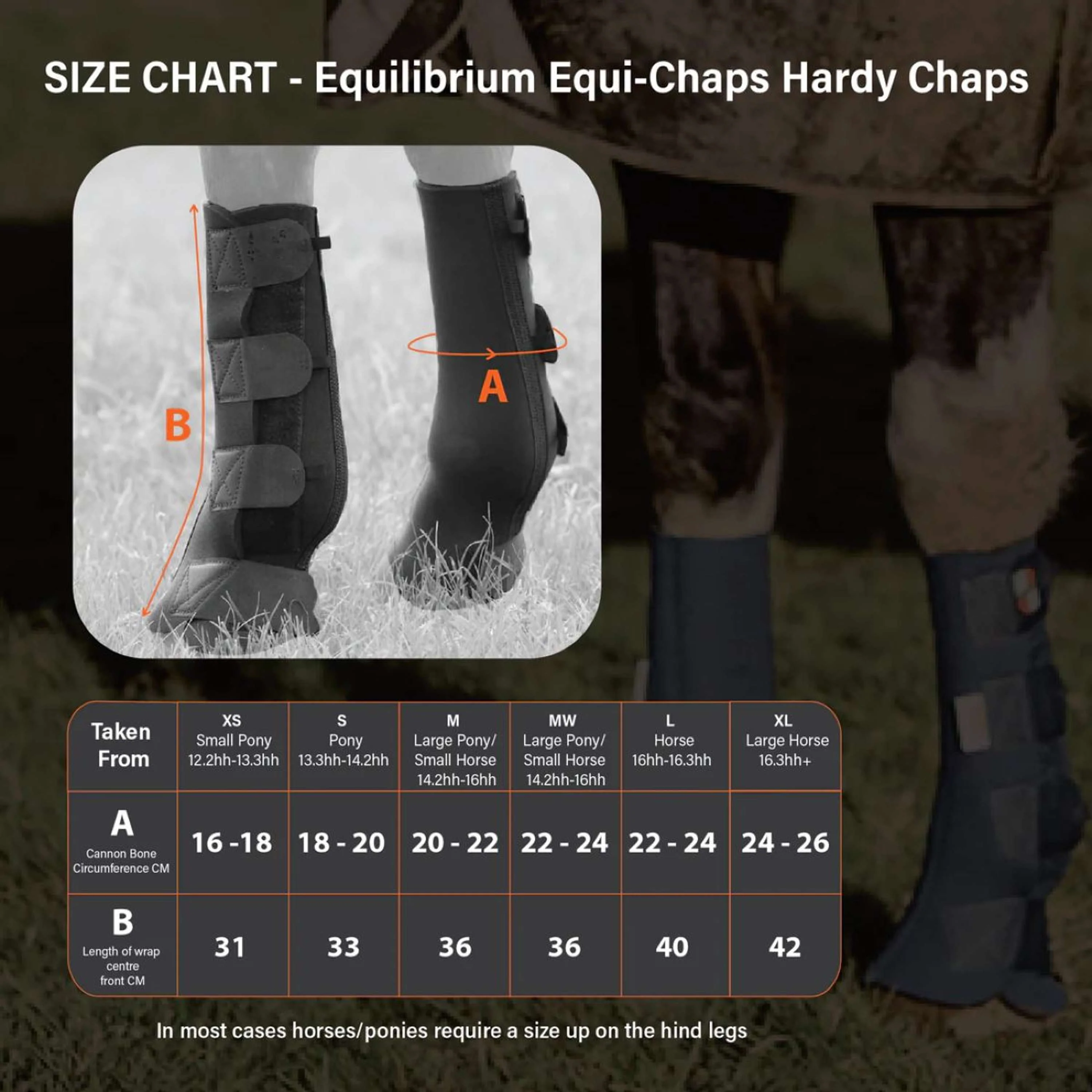 Equilibrium Guêtres Equi-Chaps Hardy Marin - Image 7