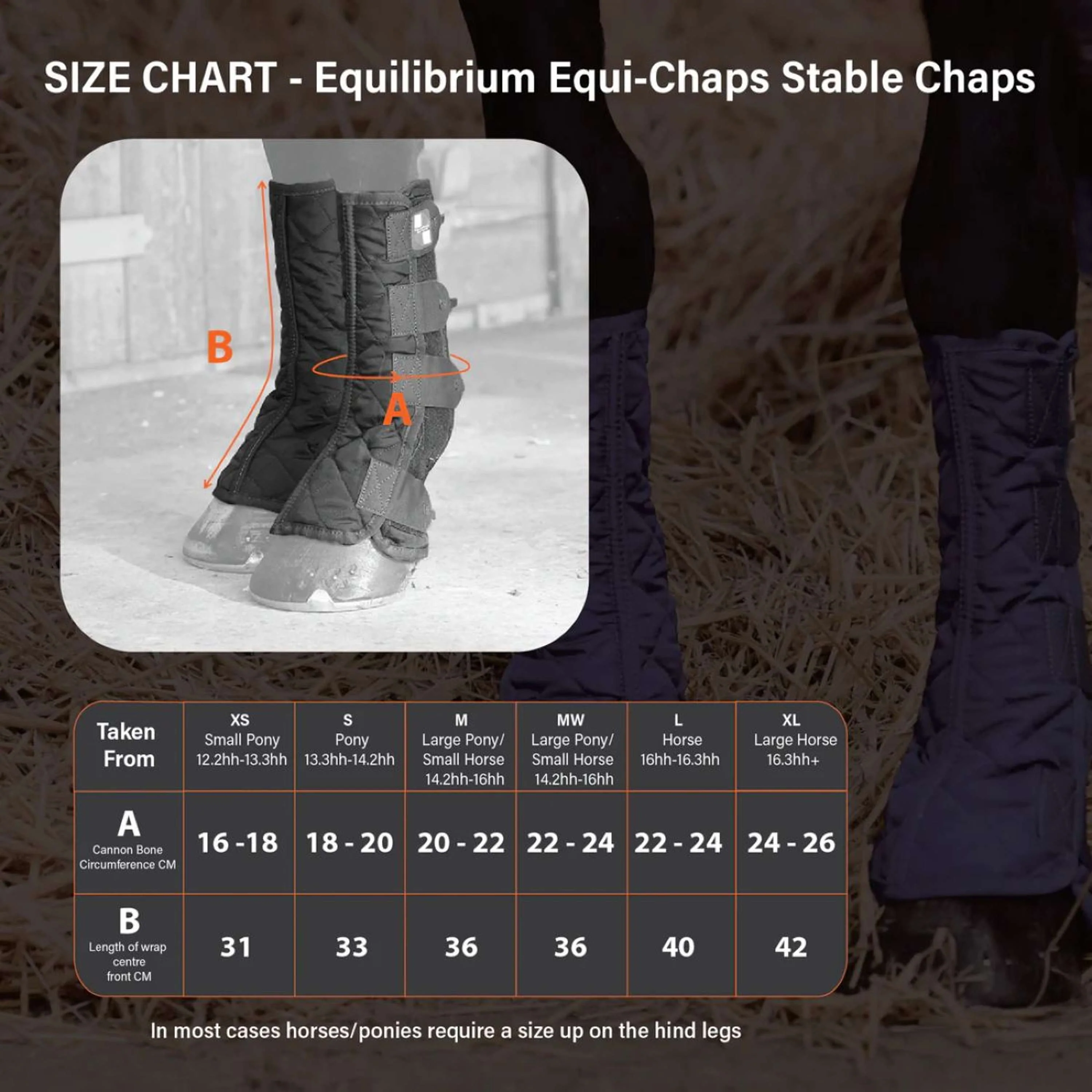 Equilibrium Guêtres Equi-Chaps Stable Marin - Image 7