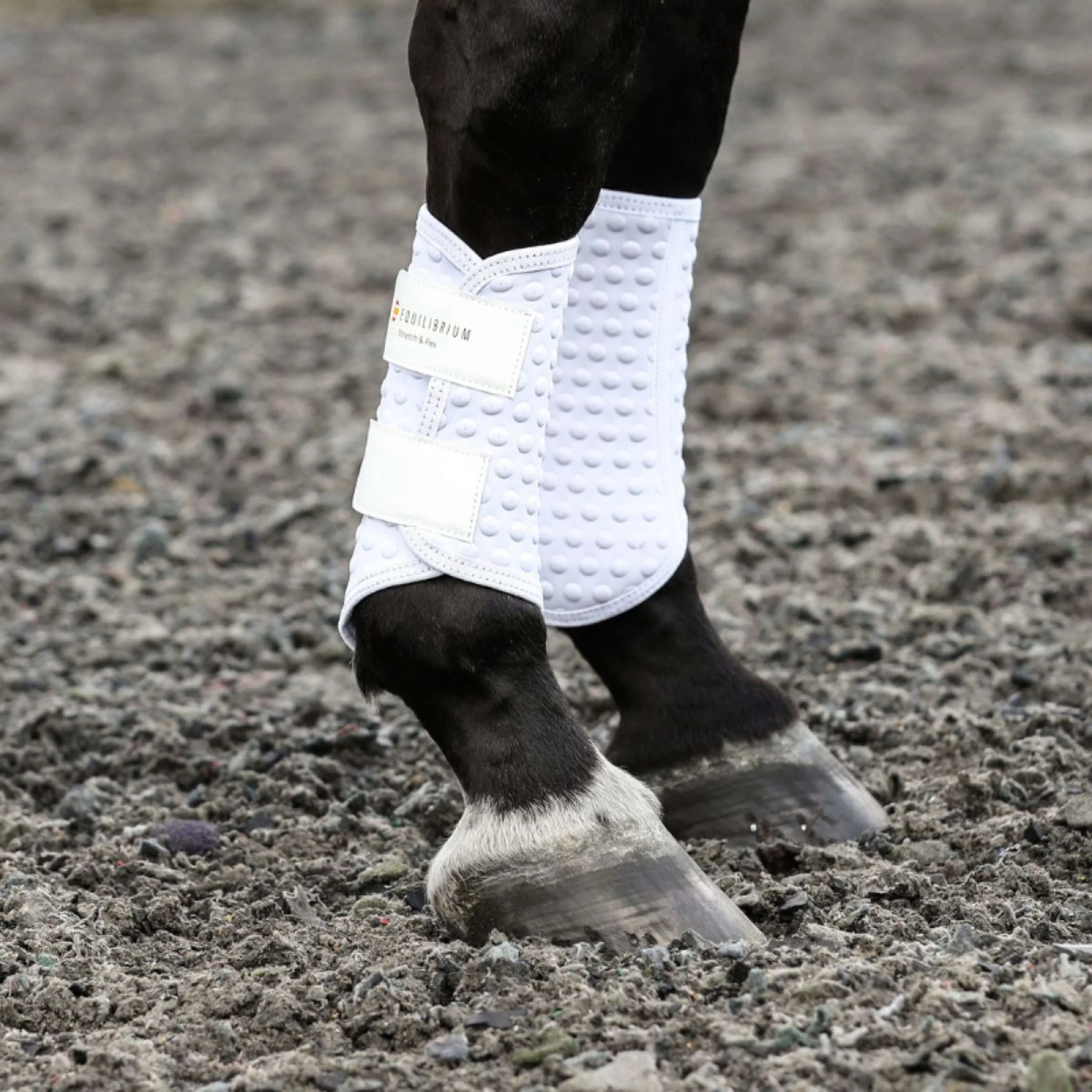 Equilibrium Guêtres Stretch & Flex Flatwork Blanc - Image 2