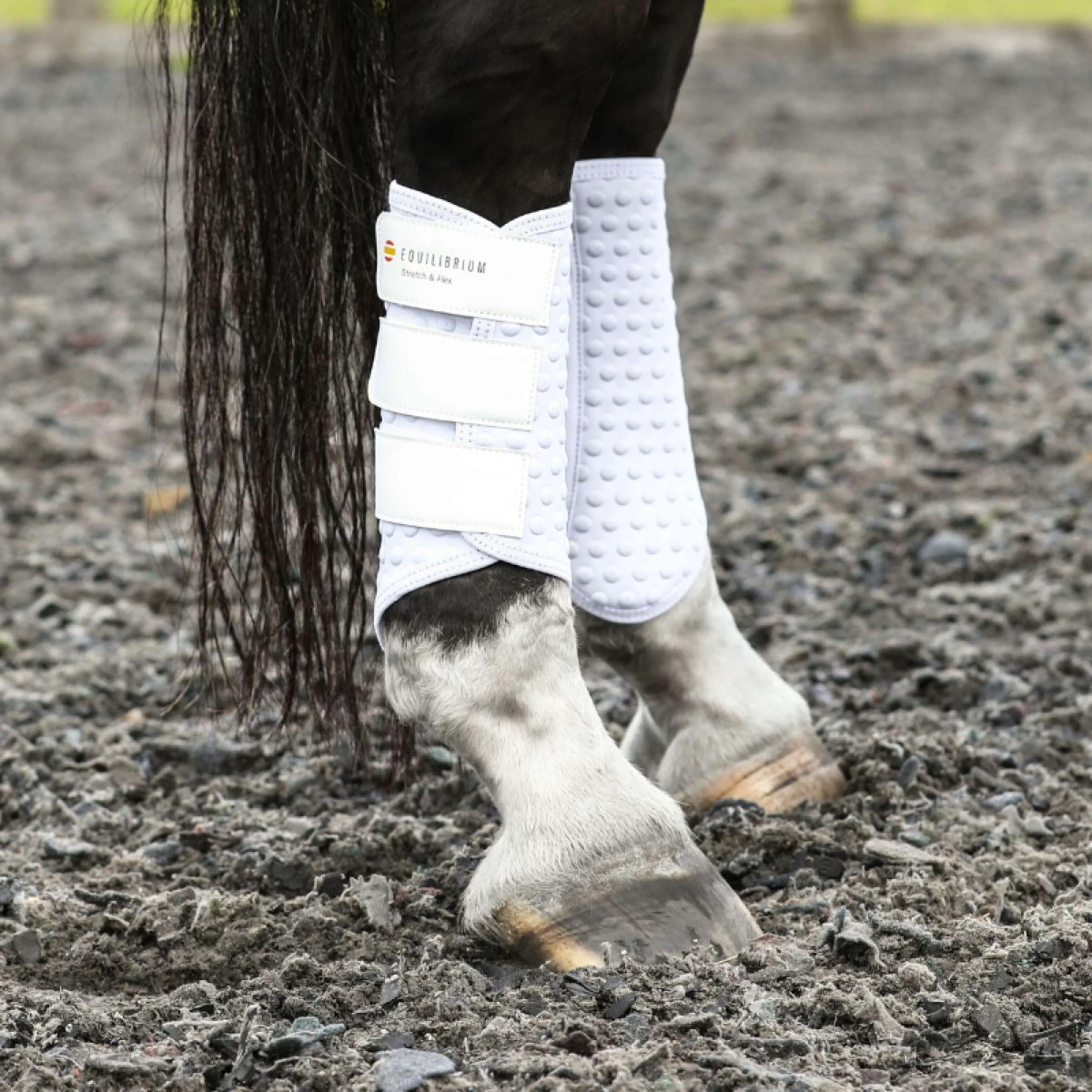 Equilibrium Guêtres Stretch & Flex Flatwork Blanc - Image 3