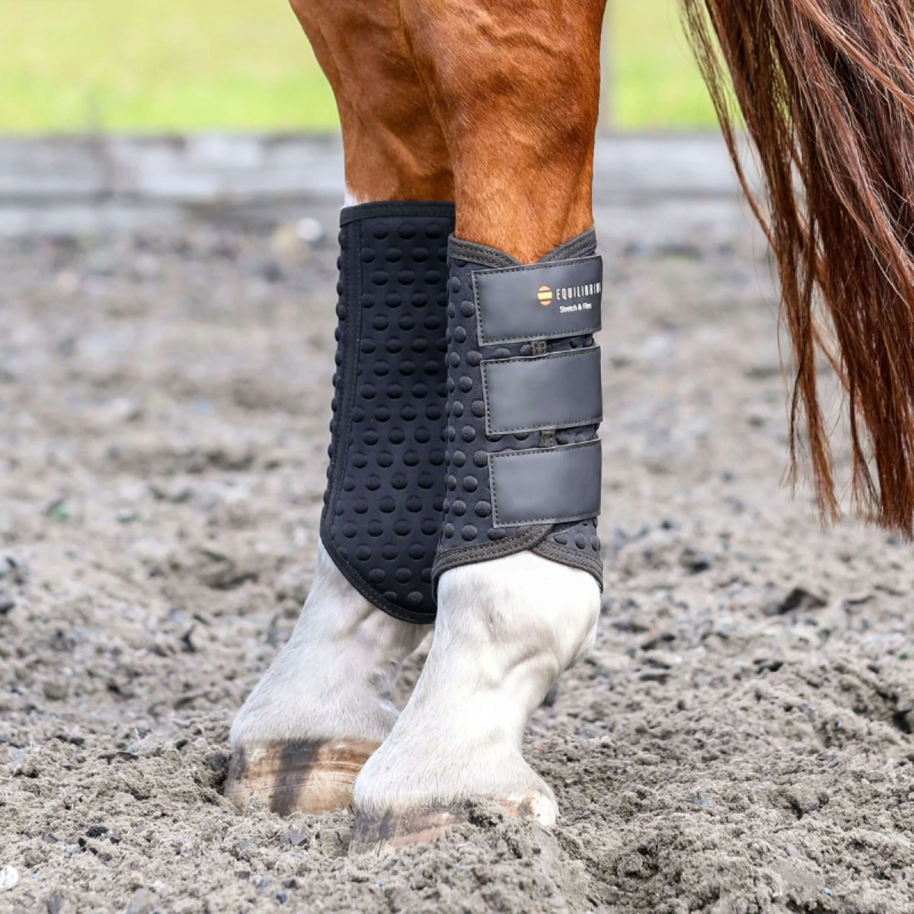 Equilibrium Guêtres Stretch & Flex Flatwork Noir - Image 2
