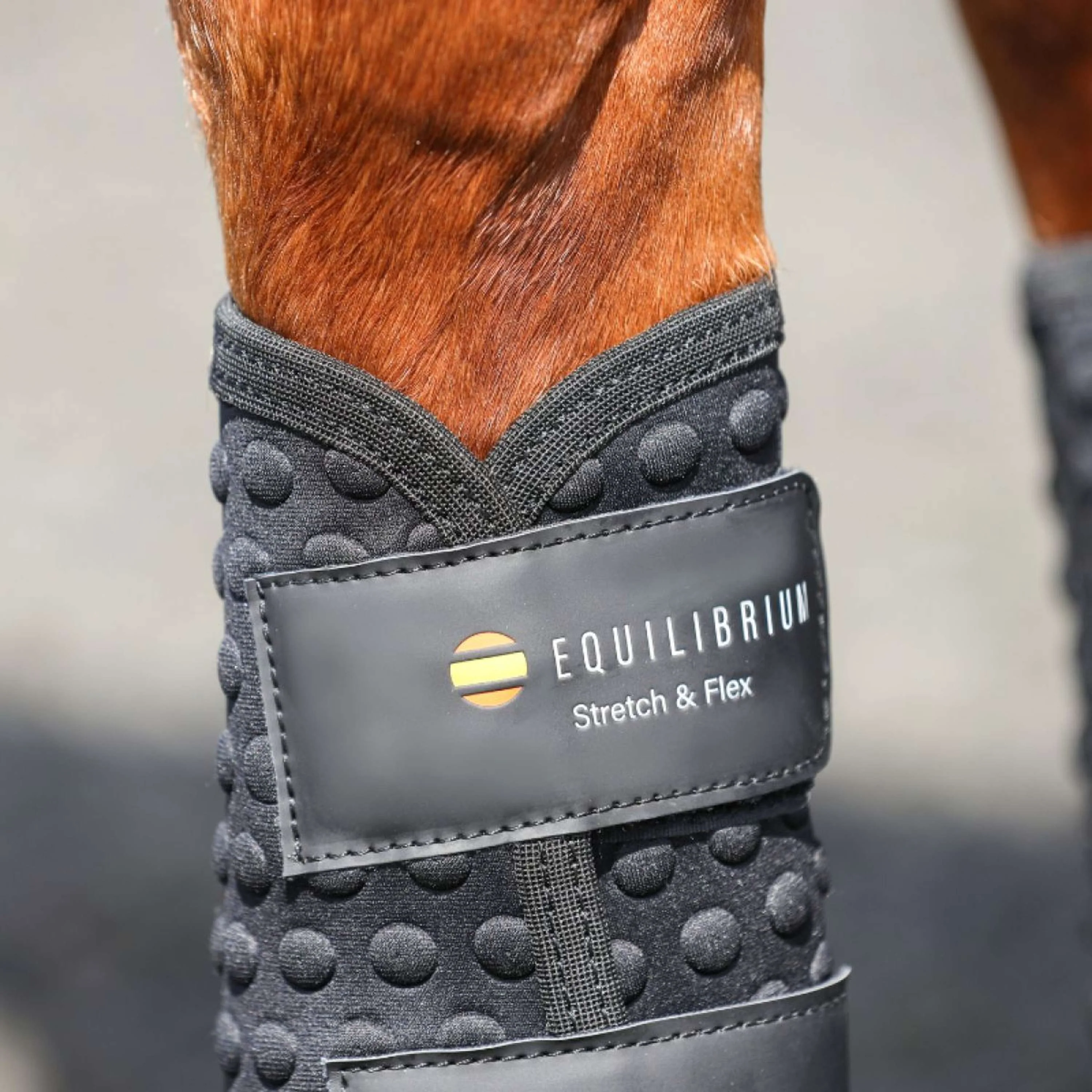 Equilibrium Guêtres Stretch & Flex Flatwork Noir - Image 3