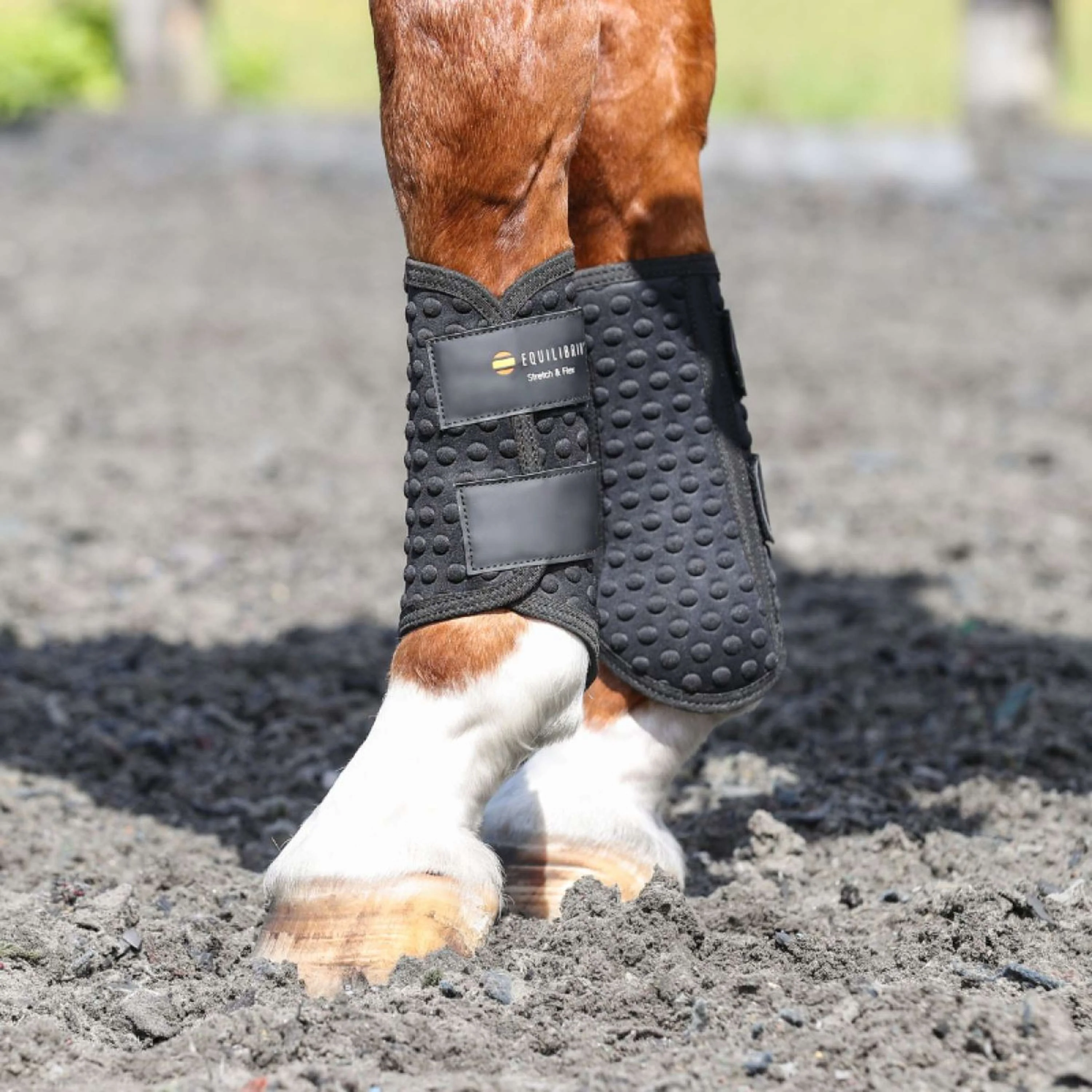 Equilibrium Guêtres Stretch & Flex Flatwork Noir - Image 5