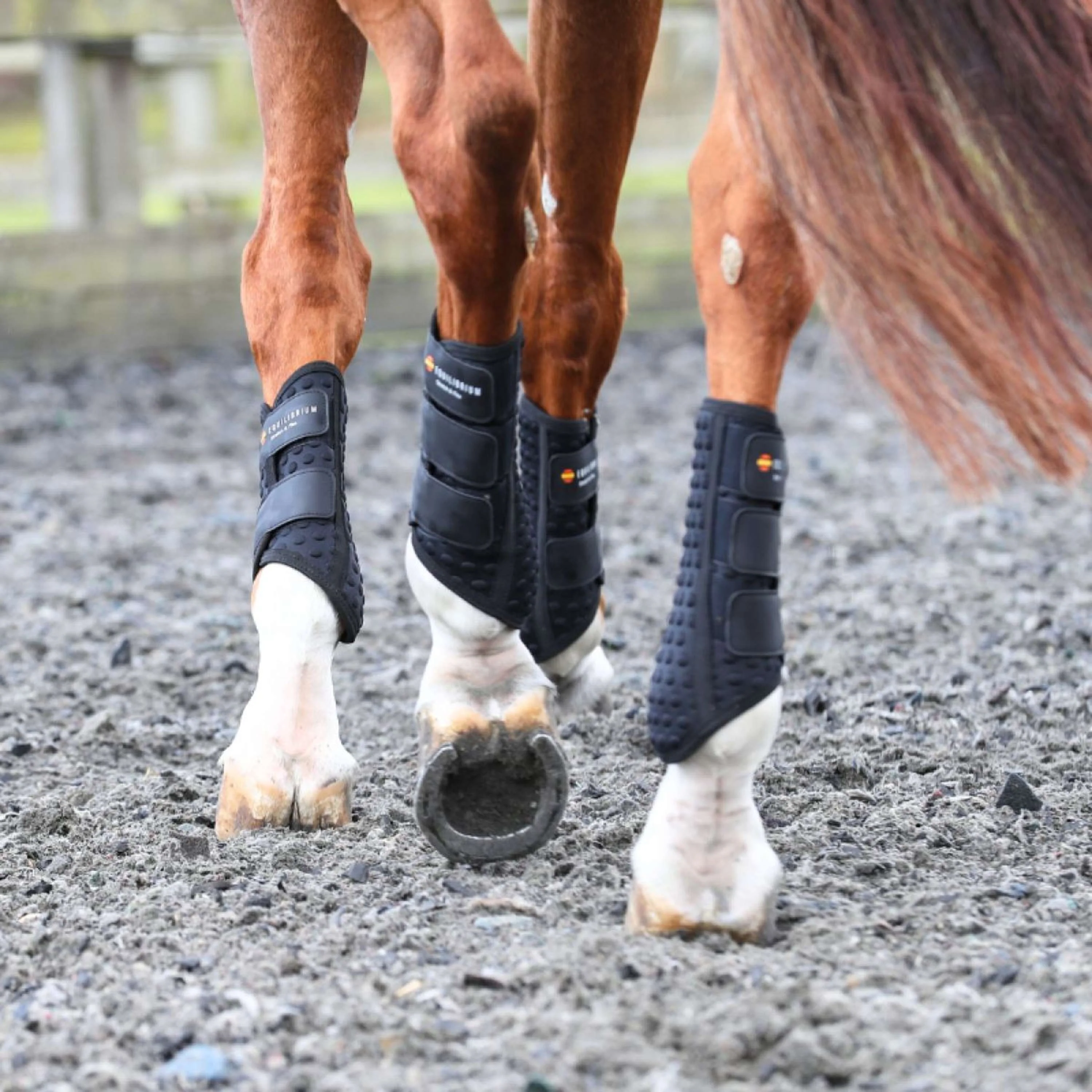 Equilibrium Guêtres Stretch & Flex Flatwork Noir - Image 7