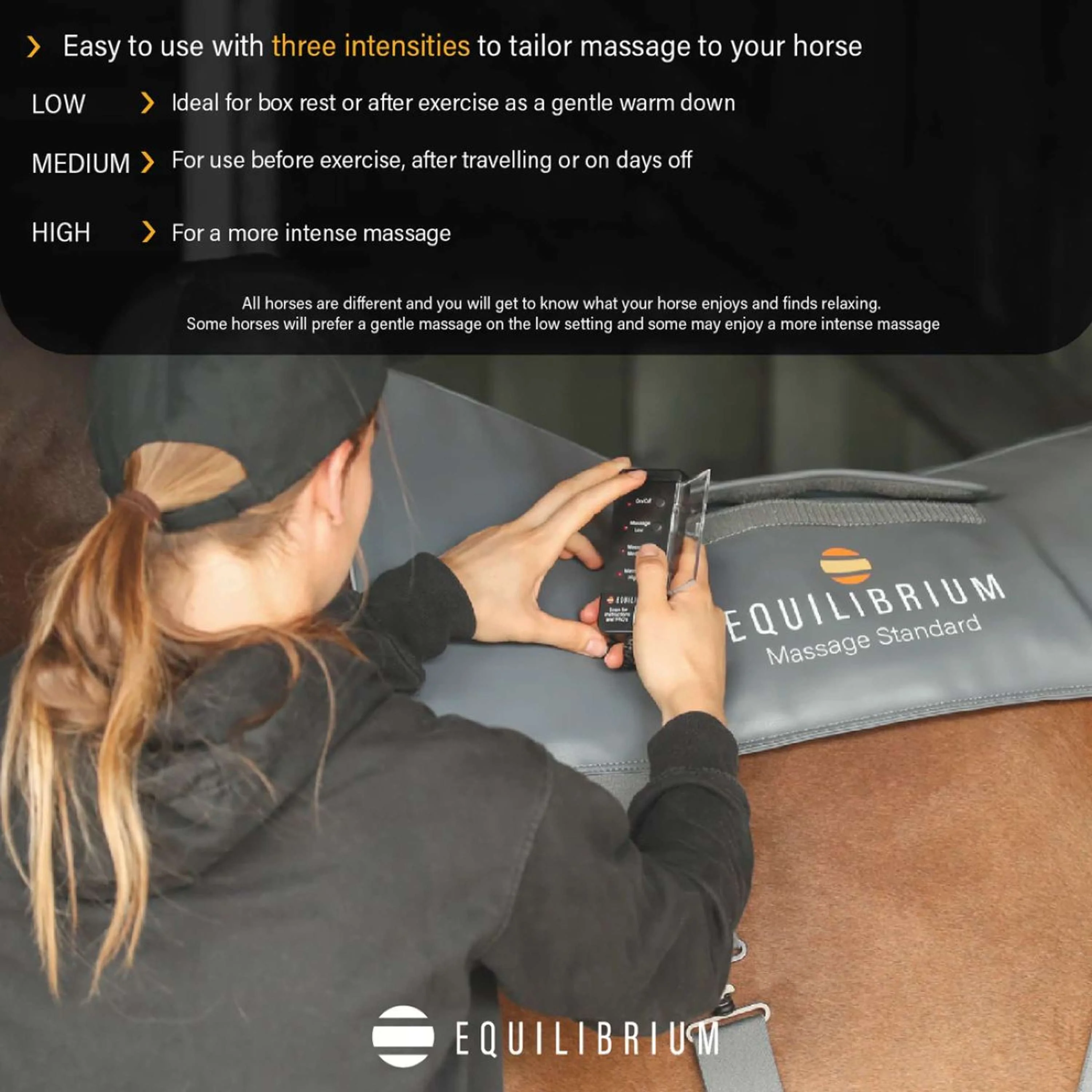 Equilibrium Massage Pad Gris - Image 7