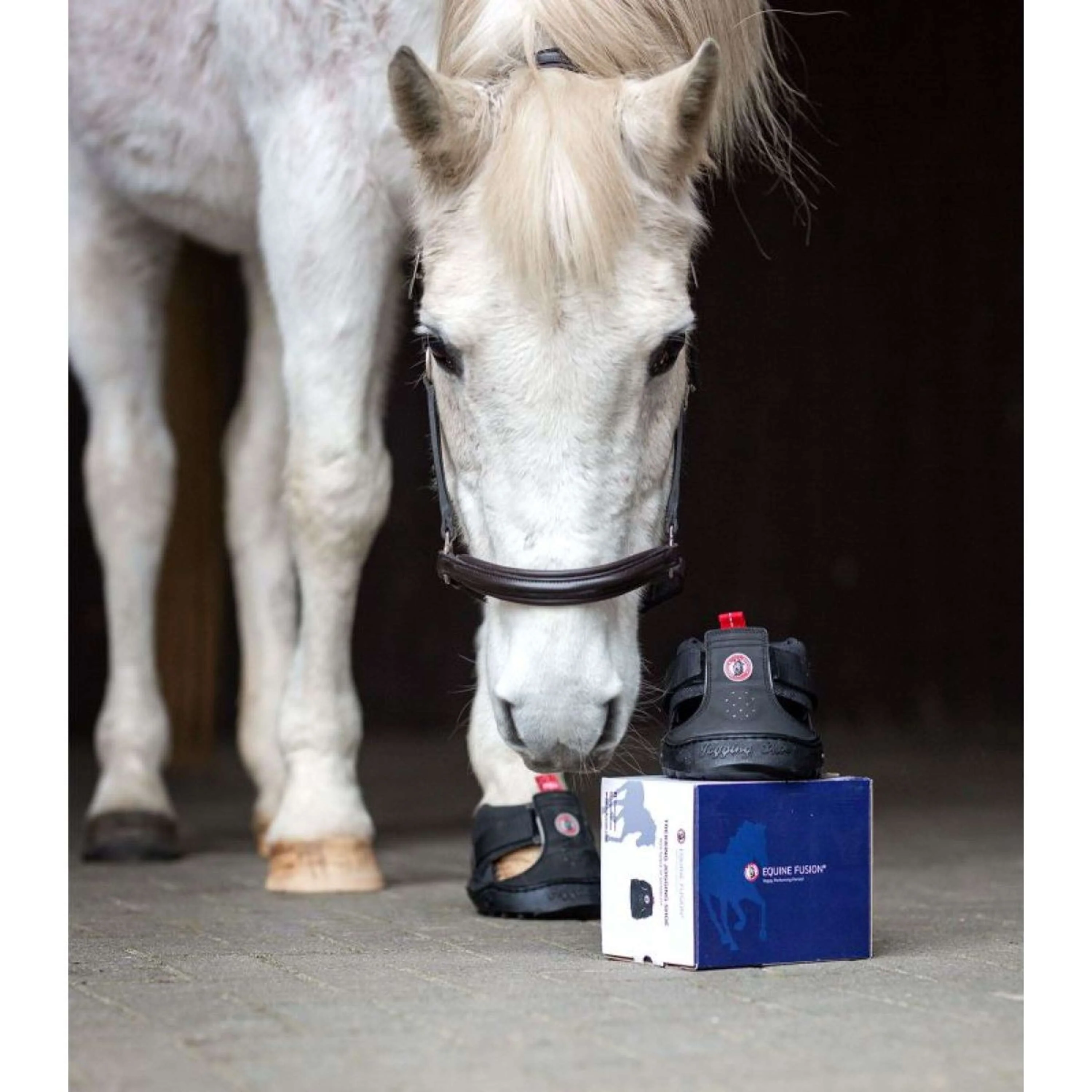 Equine Fusion Hipposandale Trekking Noir - Image 5