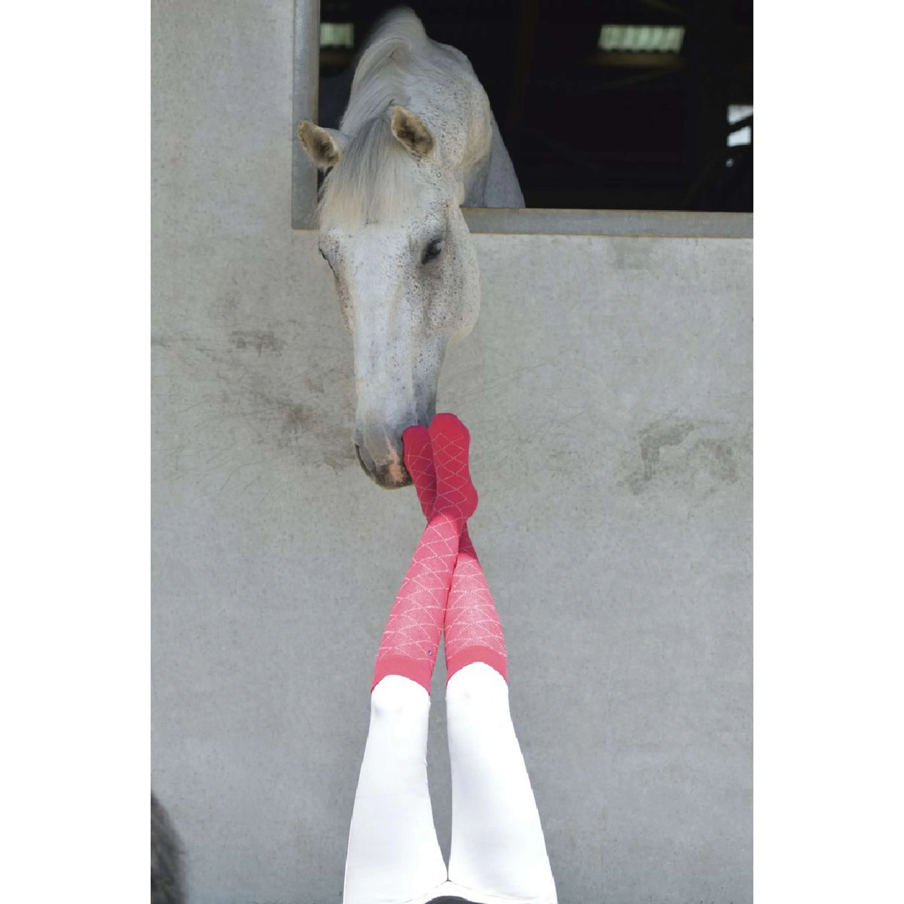 EQUITHÈME Chaussettes Résille Fuchsia - Image 2