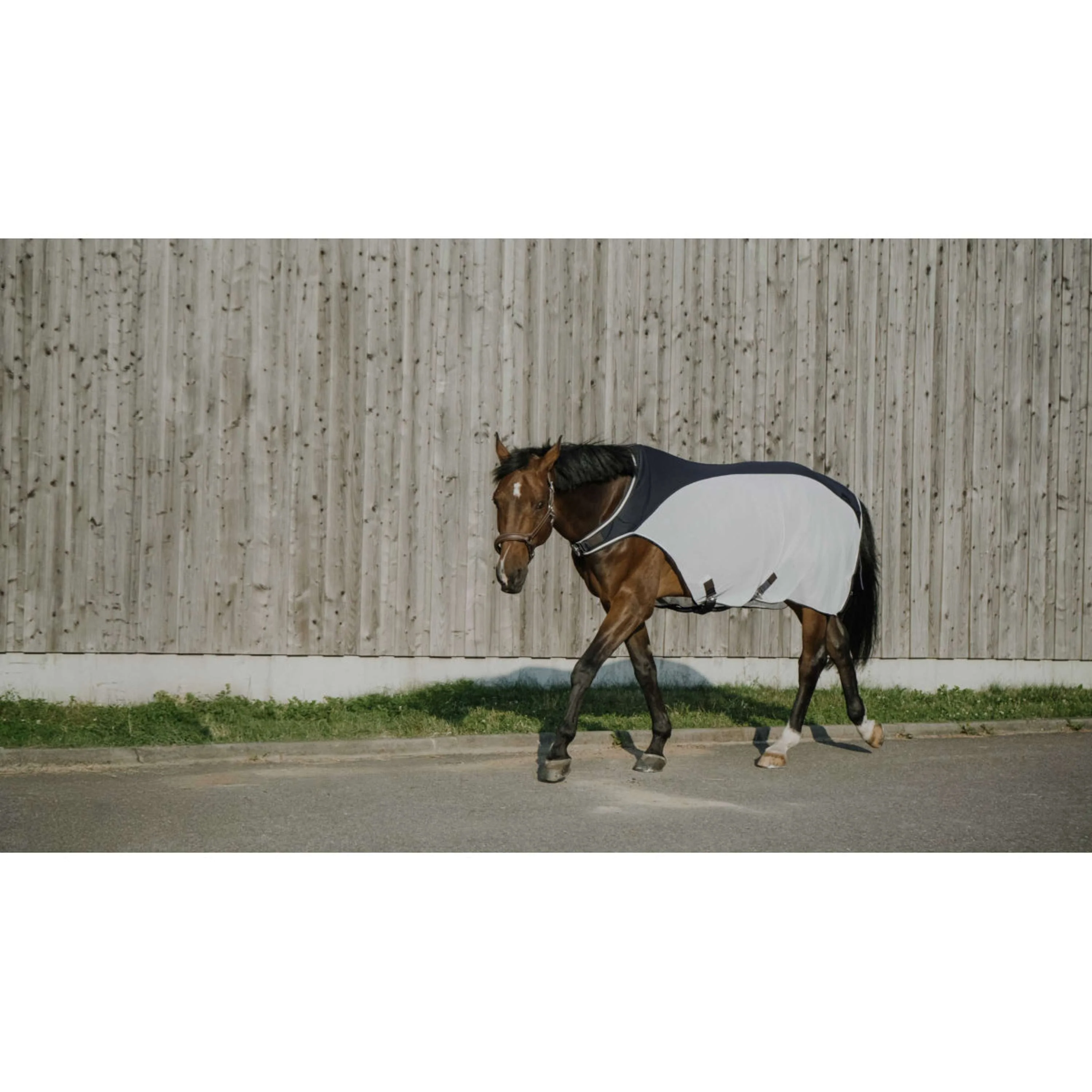 EQUITHÈME Chemise de Marcheur Flycool Marine/Blanc - Image 3
