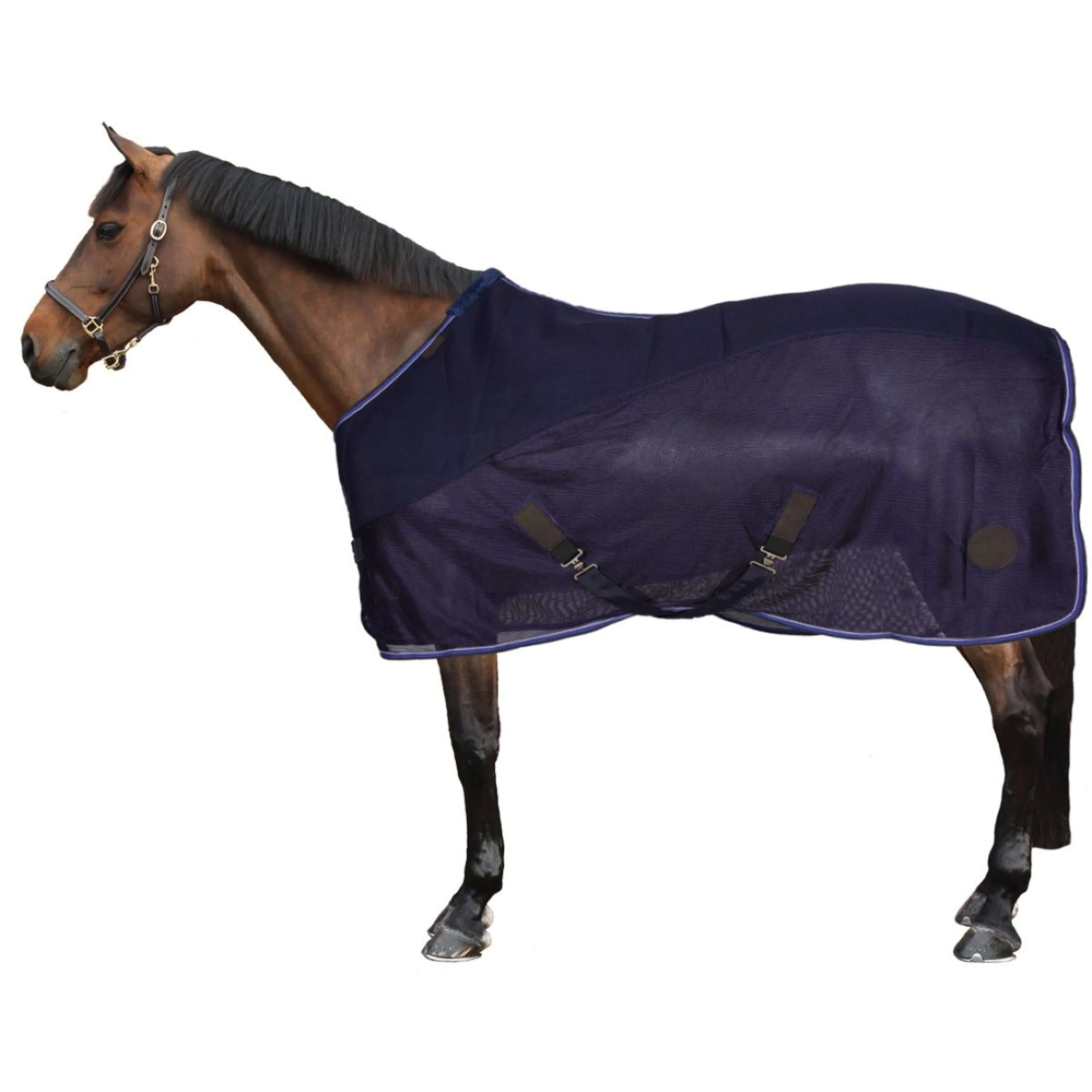 EQUITHÈME Couverture Anti-Mouches Classic 3D Mesh Marin - Image 3
